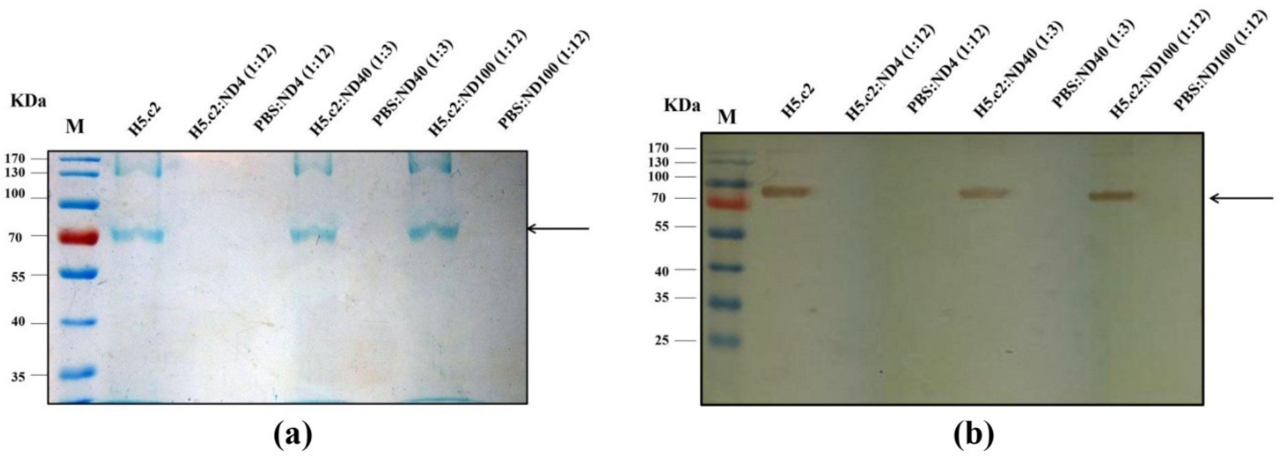 Nanomaterials 11 01597 g002 Nanomaterials 11 01597 g002