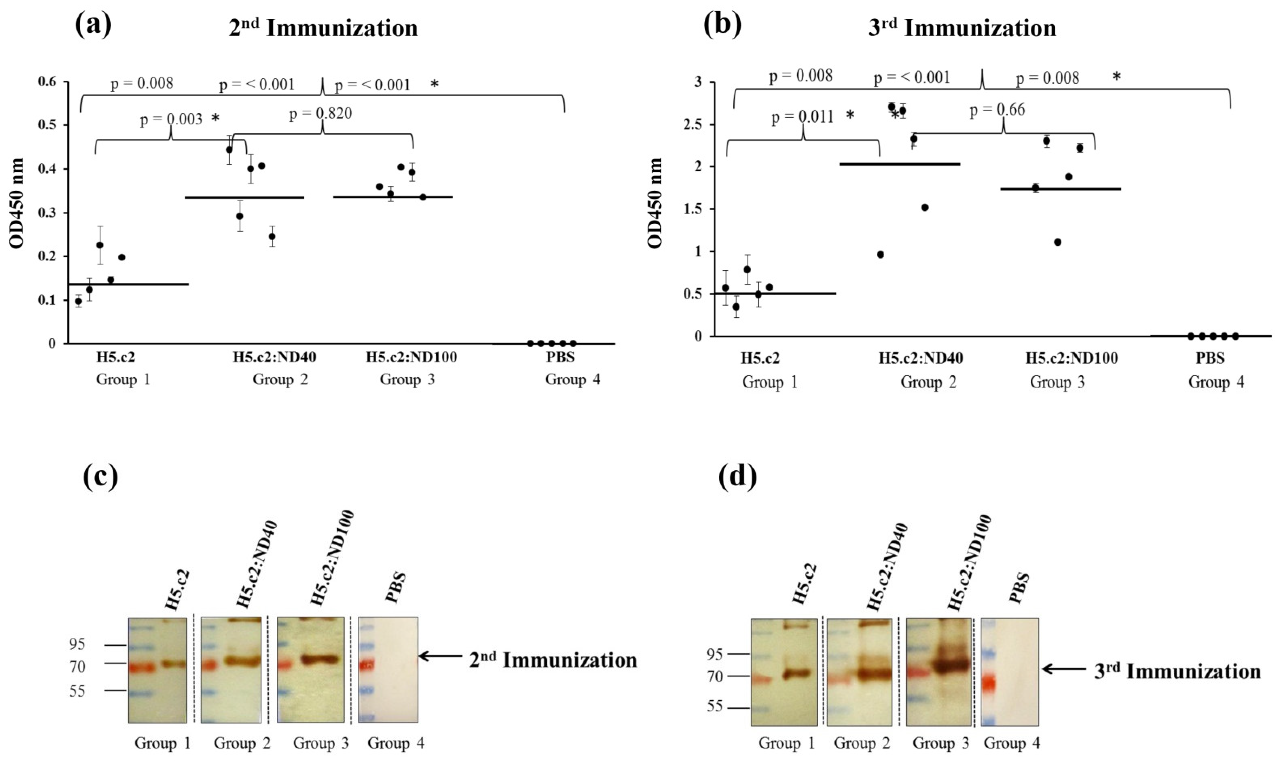 Nanomaterials 11 01597 g004 Nanomaterials 11 01597 g004