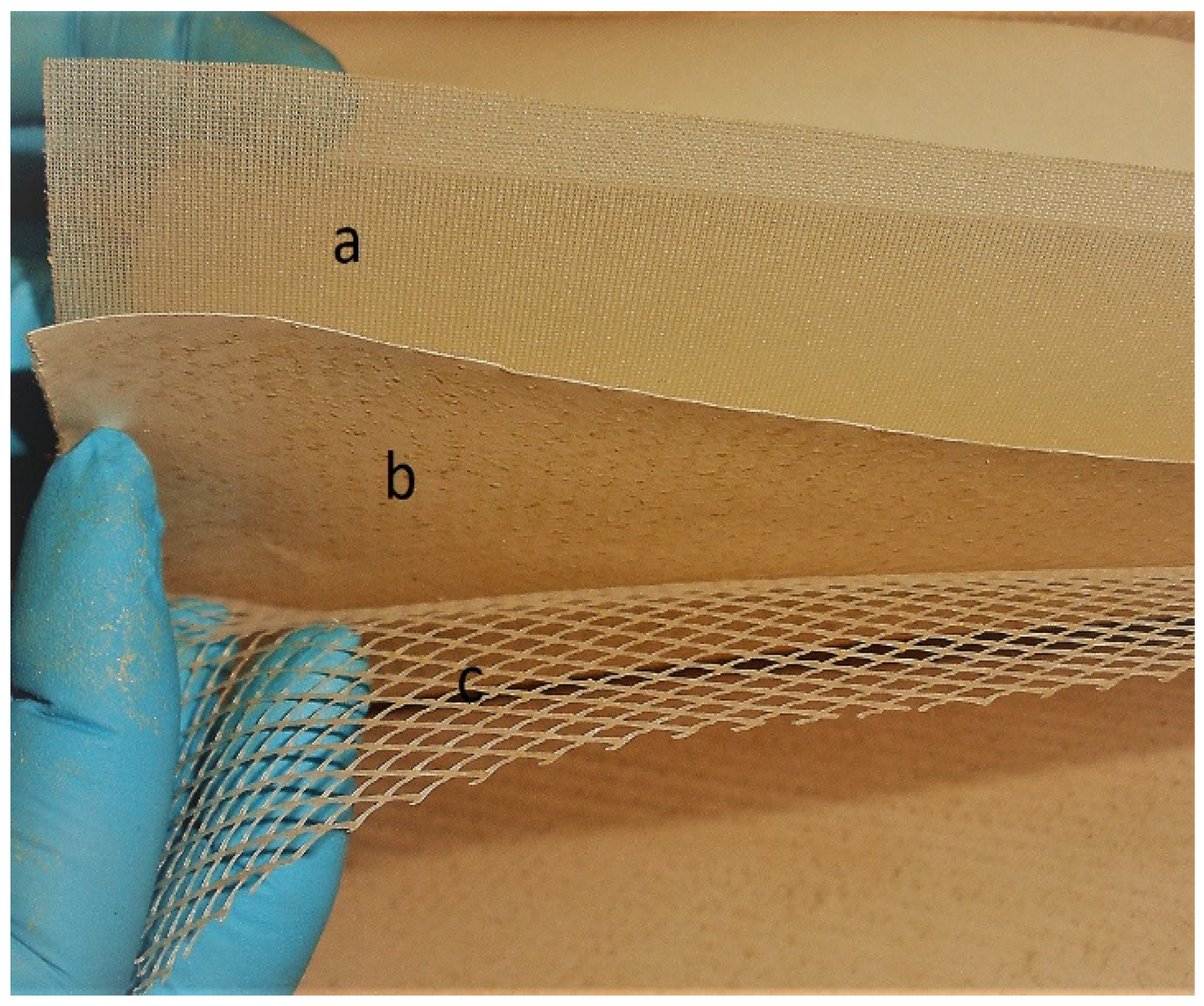 Nanomaterials 11 01601 g002