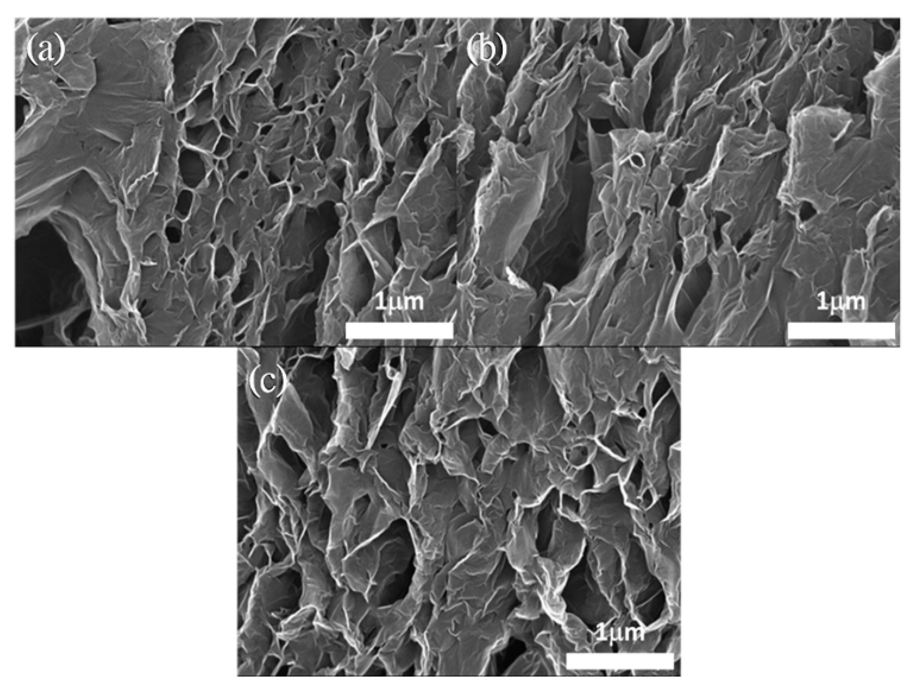 Nanomaterials 11 01603 g008 Nanomaterials 11 01603 g008