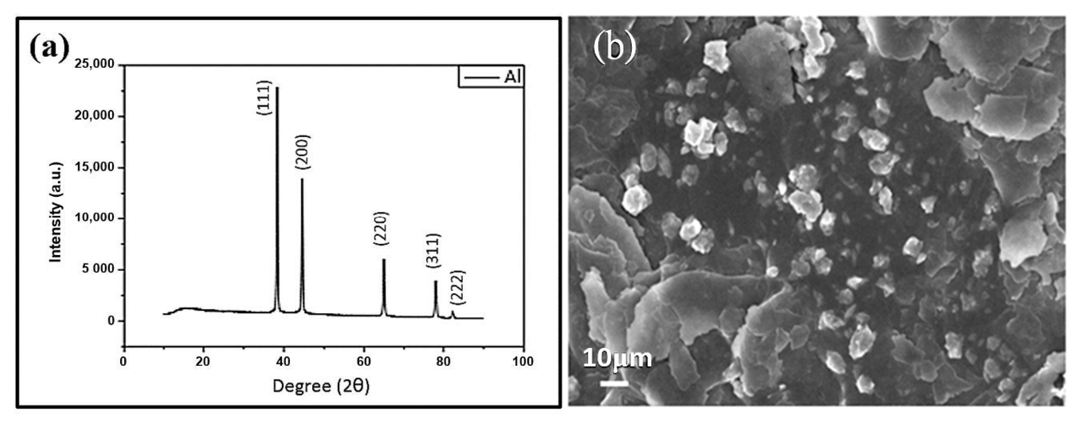 Nanomaterials 11 01603 g013 Nanomaterials 11 01603 g013