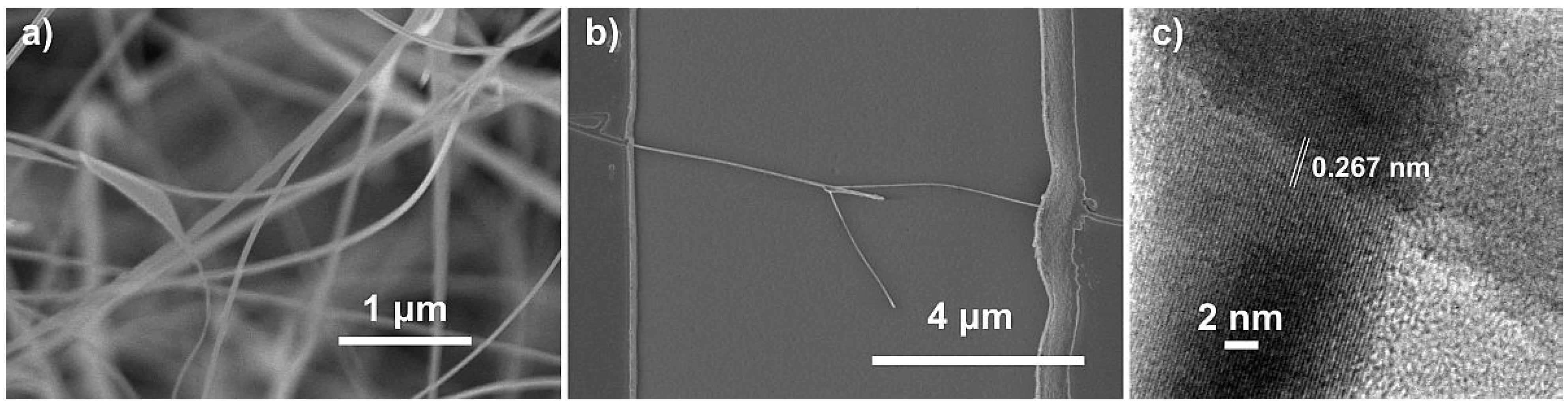 Nanomaterials 11 01604 g001 Nanomaterials 11 01604 g001