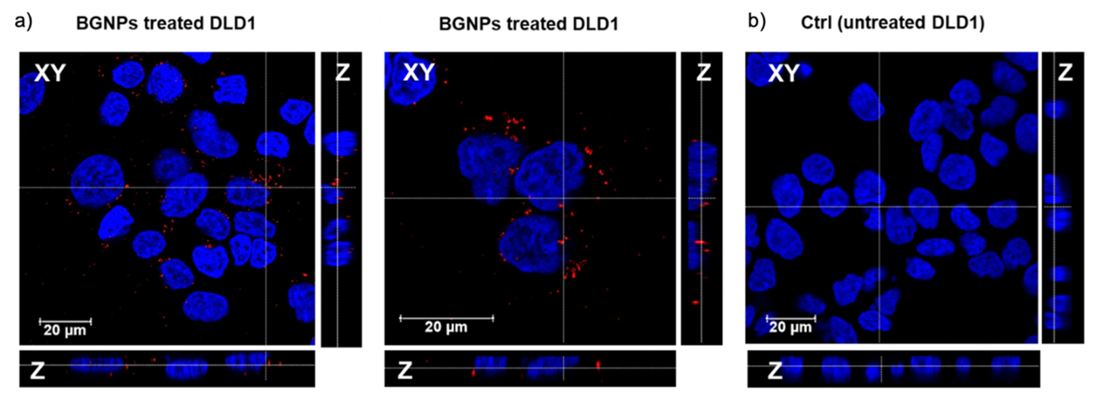 Nanomaterials 11 01608 g004 Nanomaterials 11 01608 g004