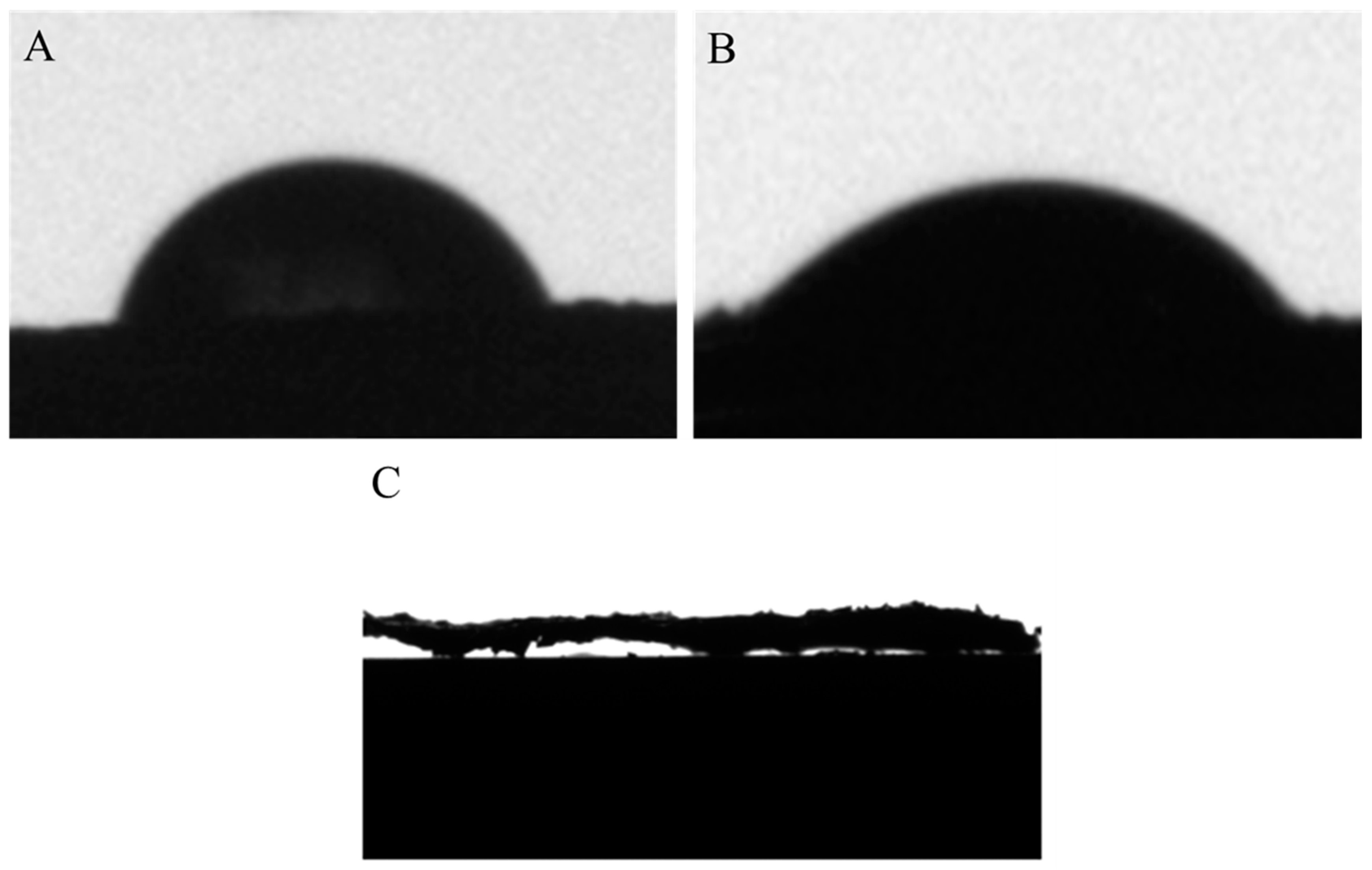 Nanomaterials 11 01609 g003