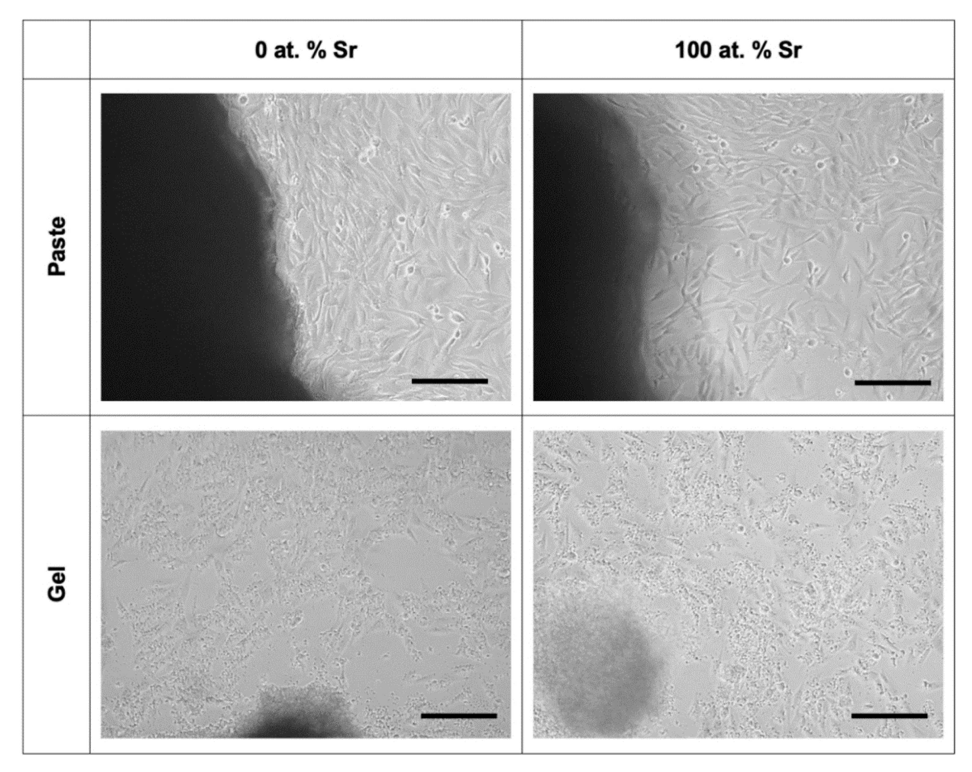 Nanomaterials 11 01611 g007 Nanomaterials 11 01611 g007