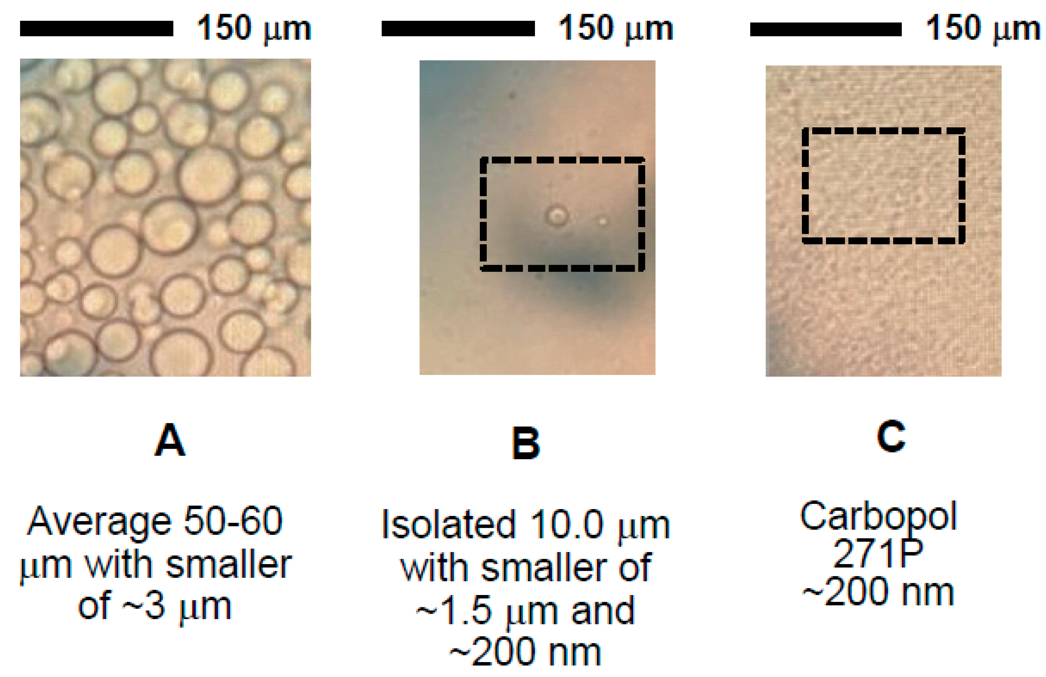 Nanomaterials 11 01612 g010