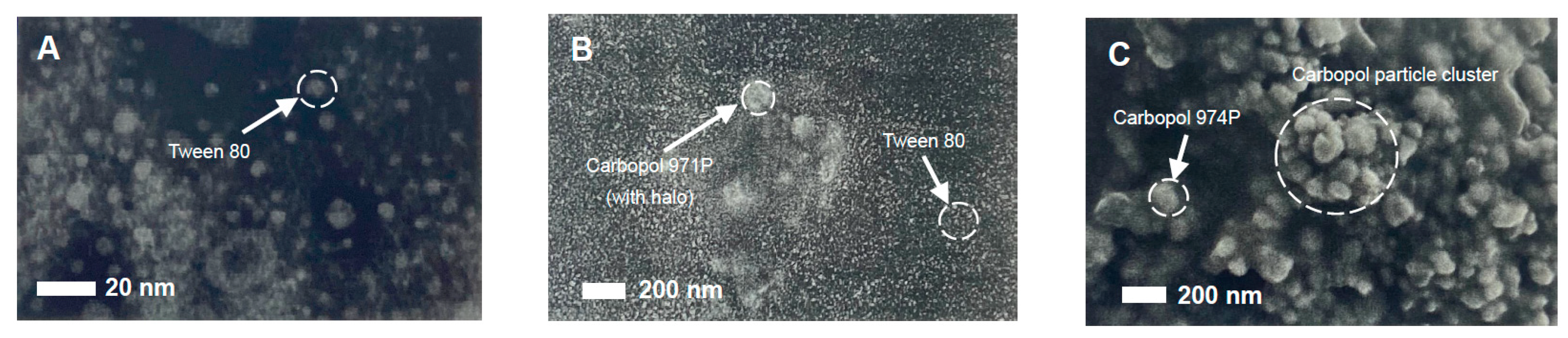 Nanomaterials 11 01612 g011