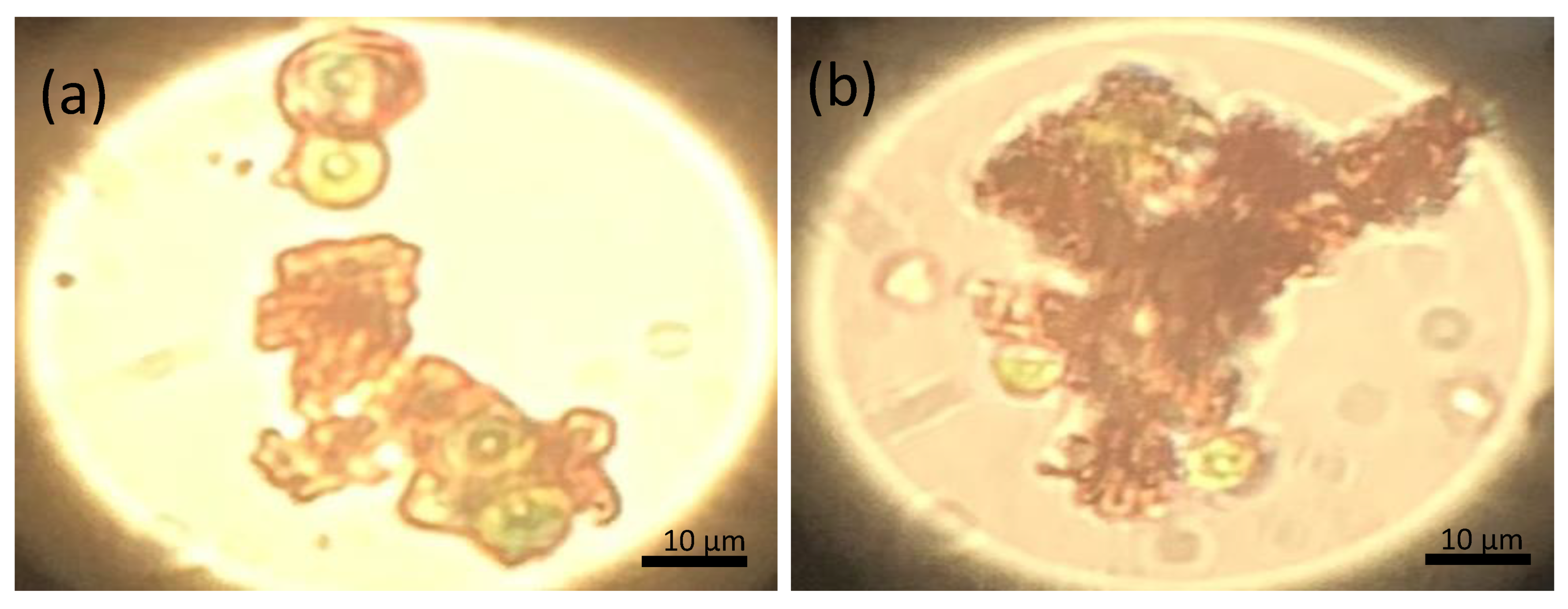 Nanomaterials 11 01614 g008 Nanomaterials 11 01614 g008