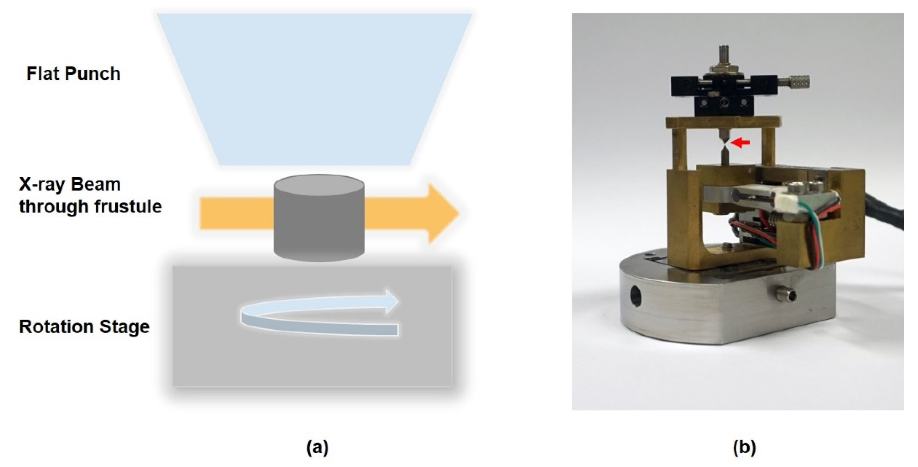 Nanomaterials 11 01615 g005 Nanomaterials 11 01615 g005