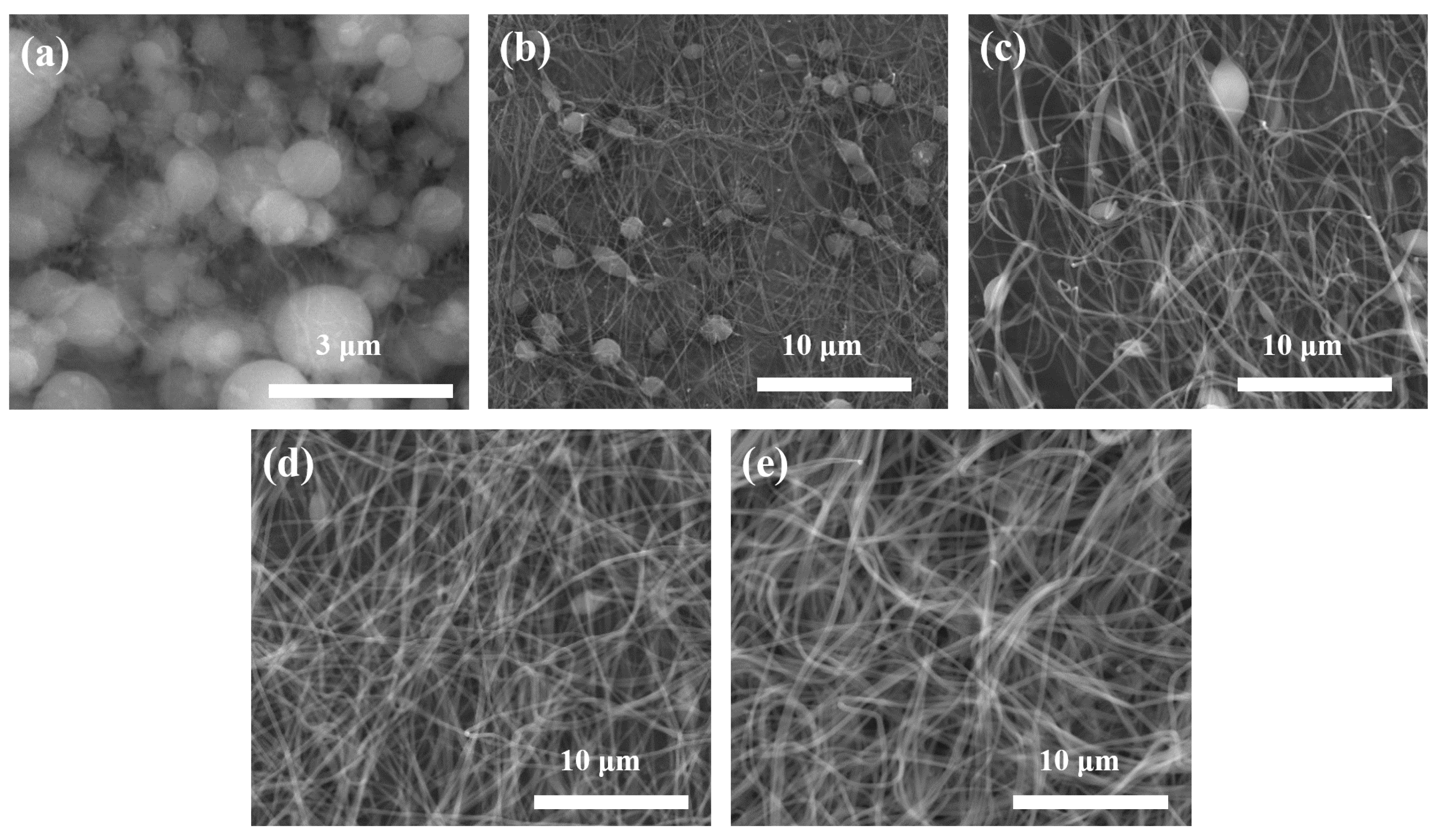 Nanomaterials 11 01616 g002