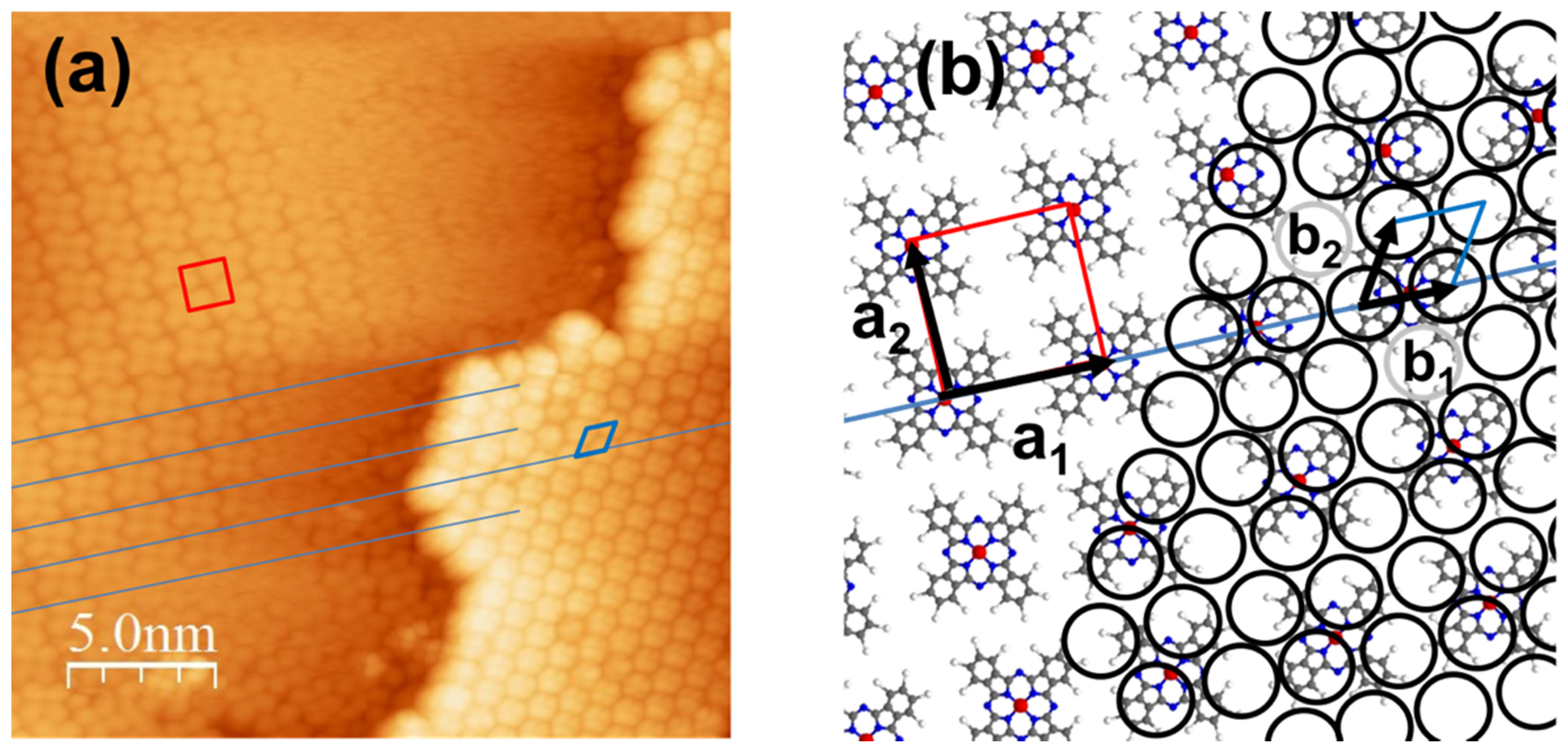 Nanomaterials 11 01618 g001 550