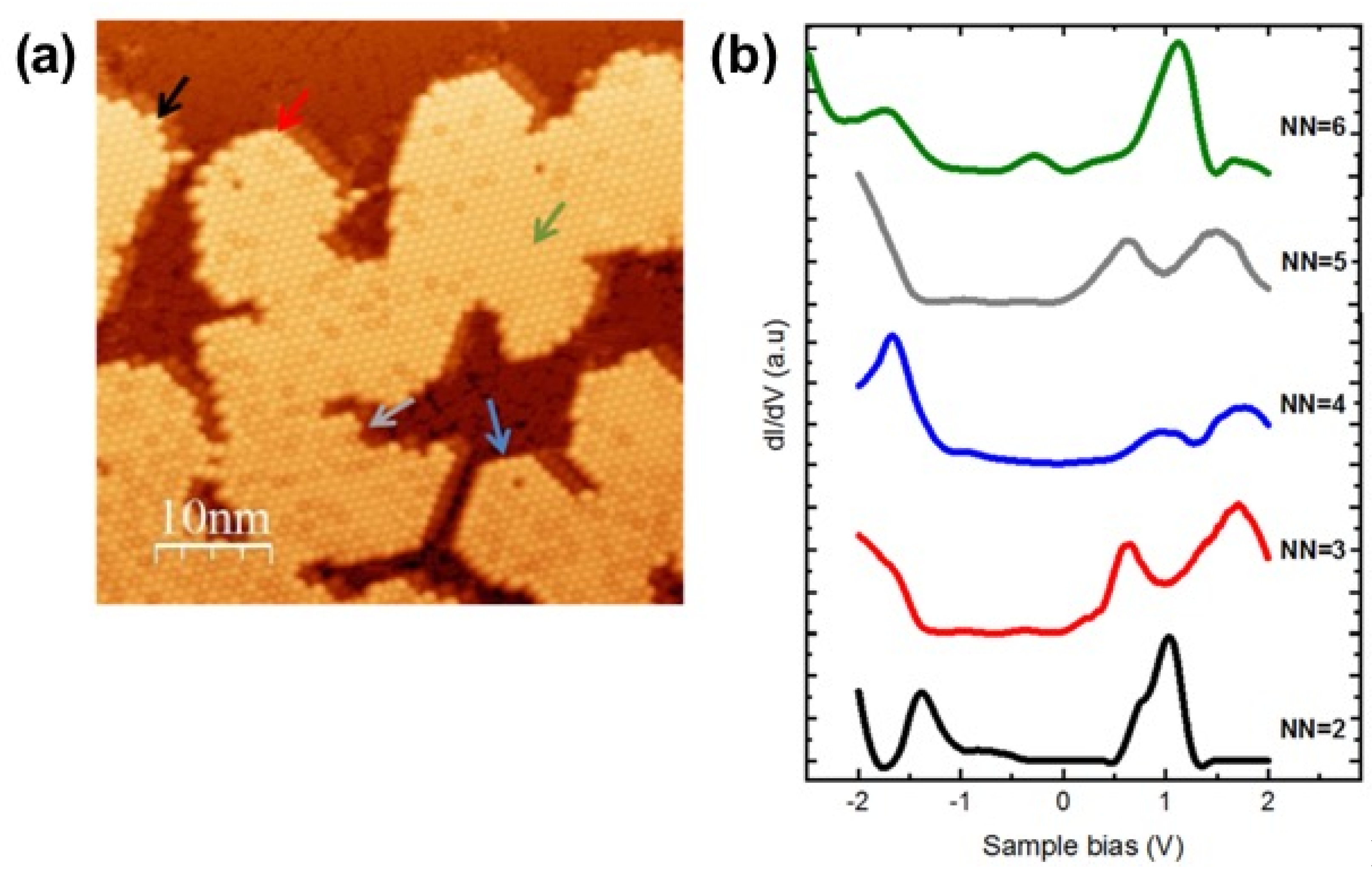 Nanomaterials 11 01618 g004 550