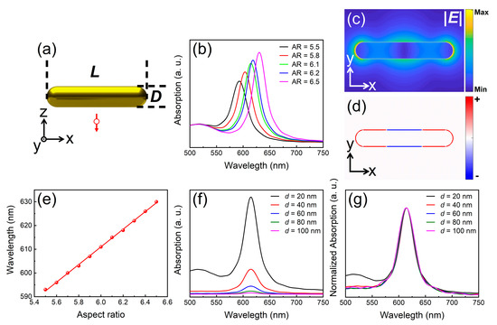爆買いしたい Strong Dipole-Quadrupole-Exciton Gold a in Realized Coupling デュエルマスターズ