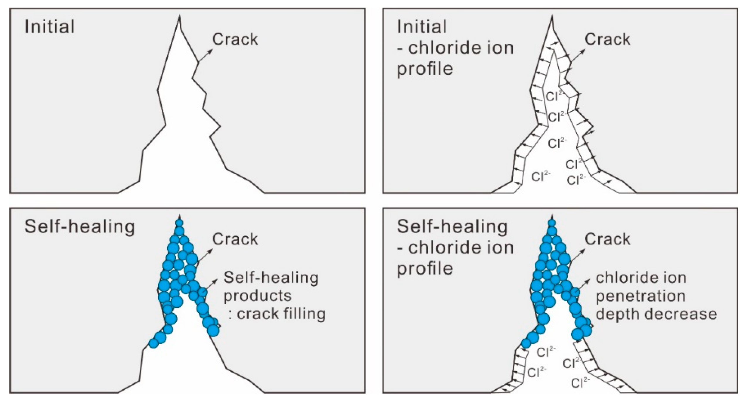 Nanomaterials 11 01622 g004