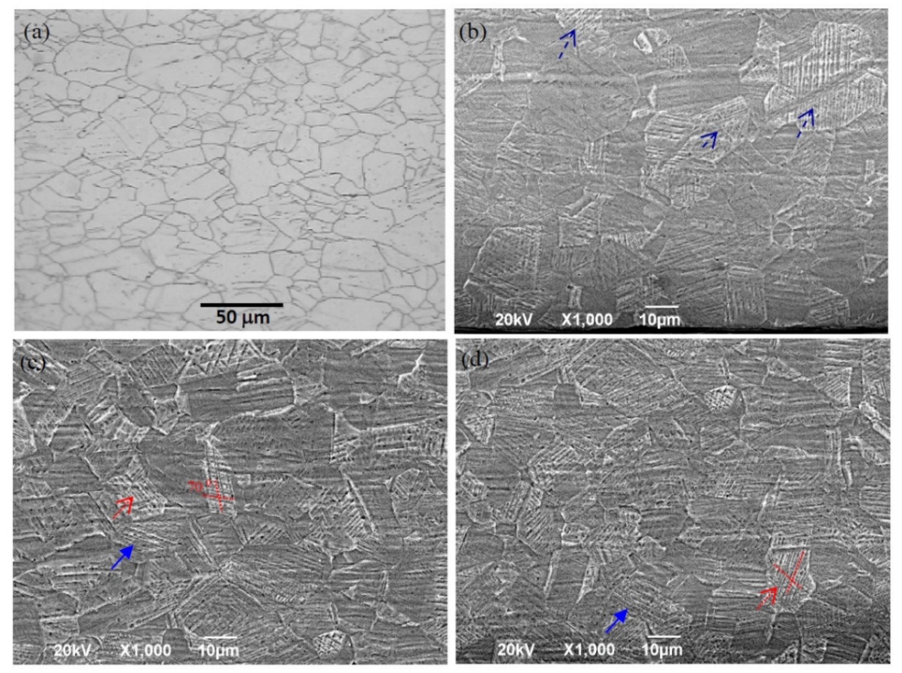 Nanomaterials 11 01624 g007