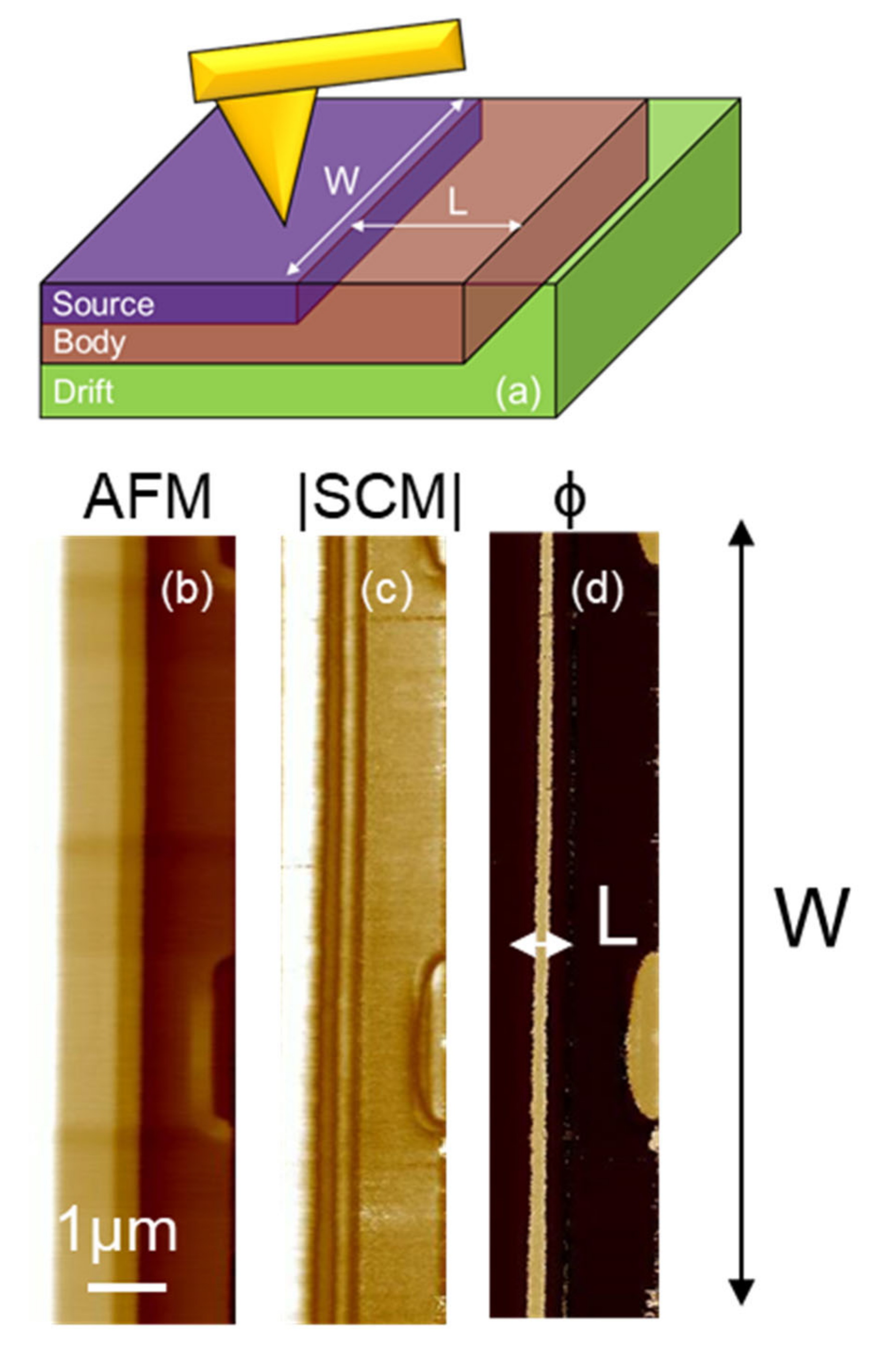 Nanomaterials 11 01626 g003 550