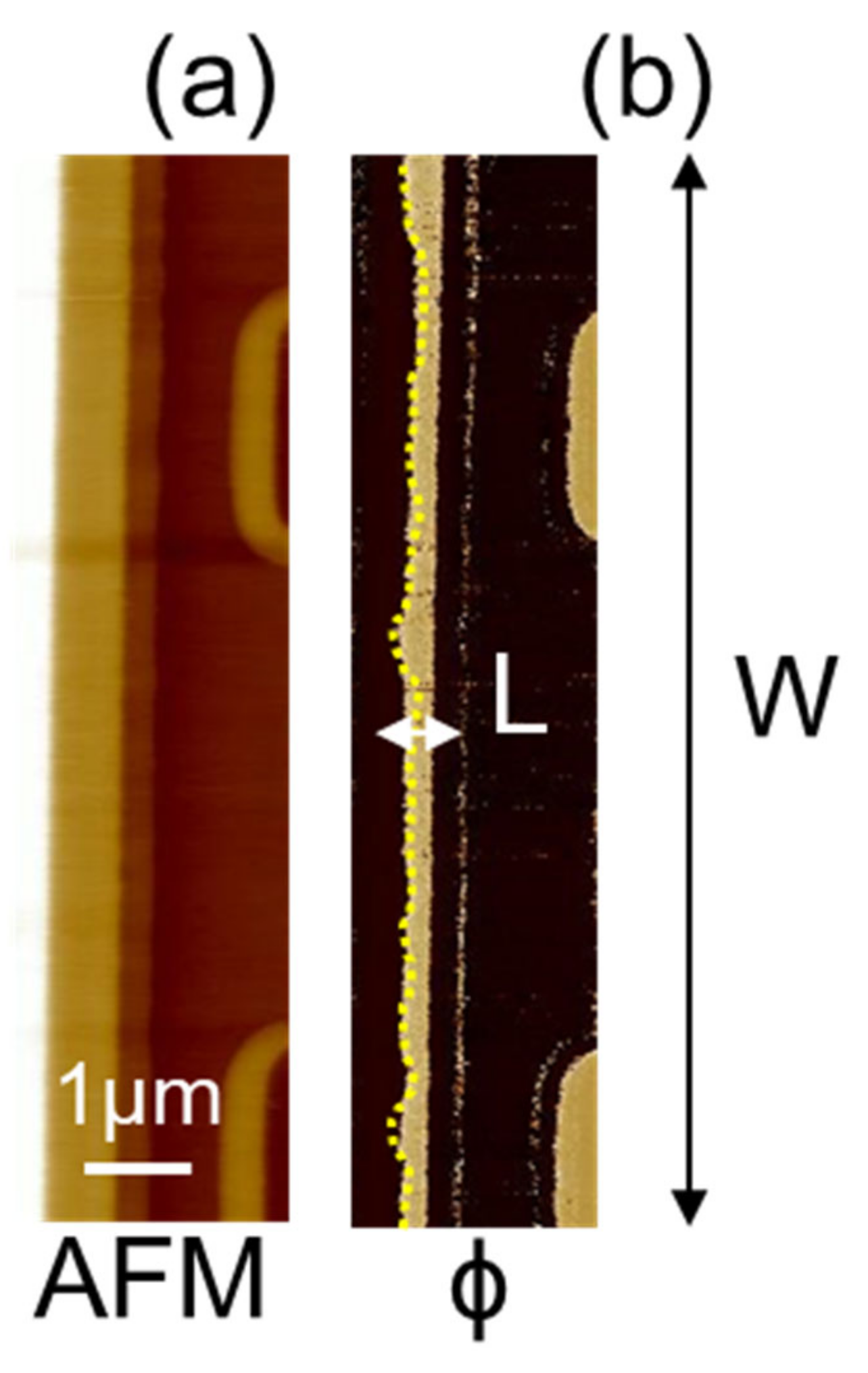 Nanomaterials 11 01626 g009 550