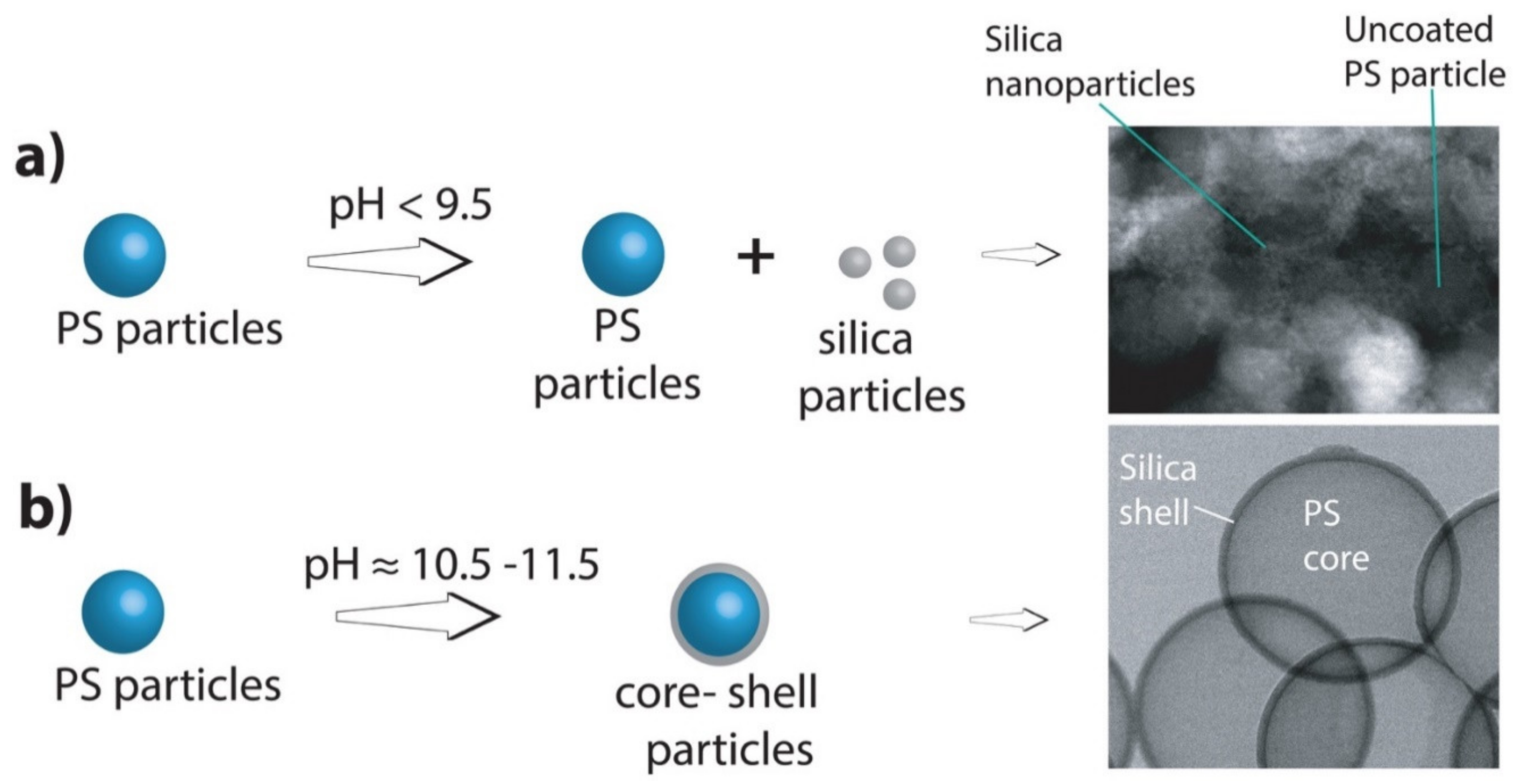 Nanomaterials 11 01627 g002 550