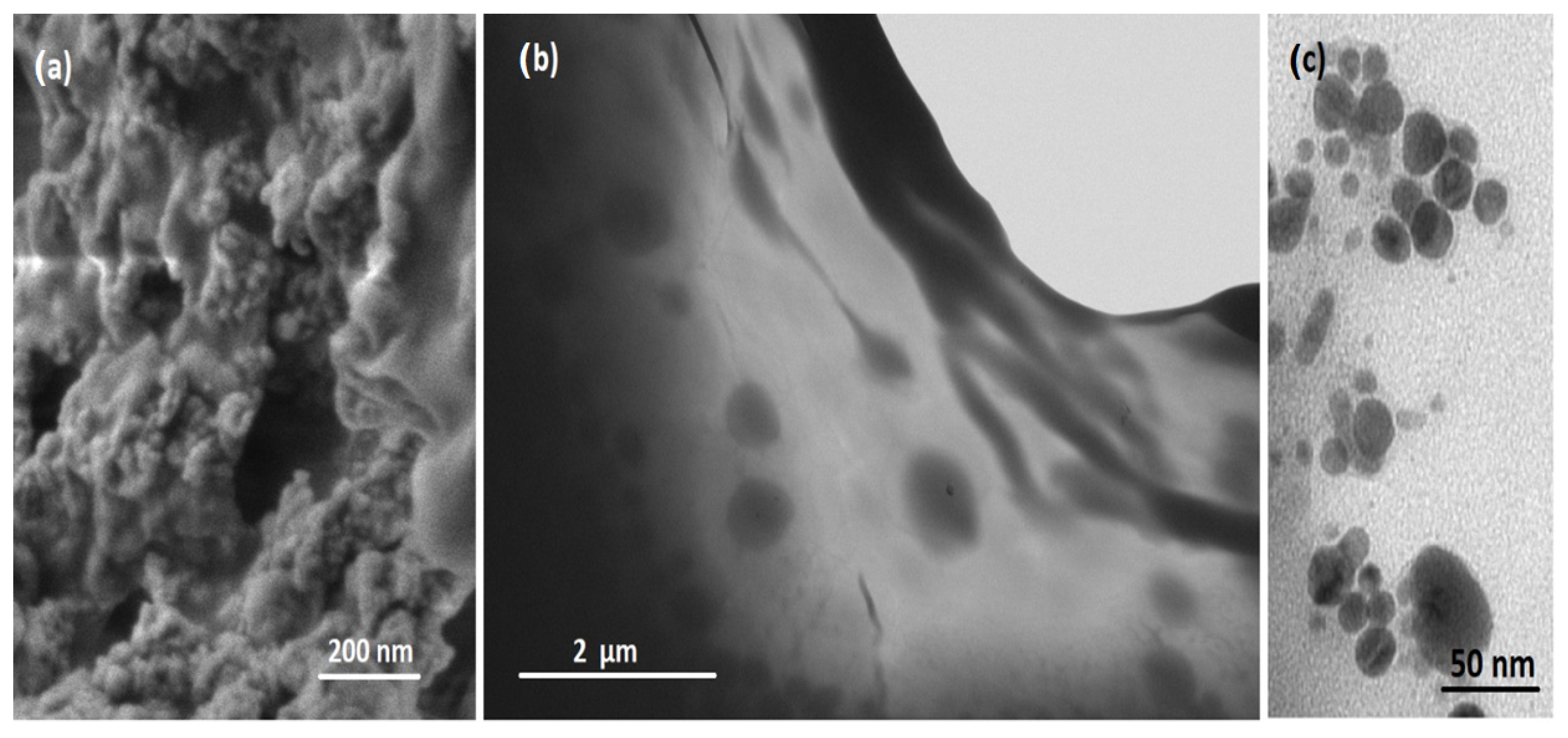Nanomaterials 11 01629 g009 550