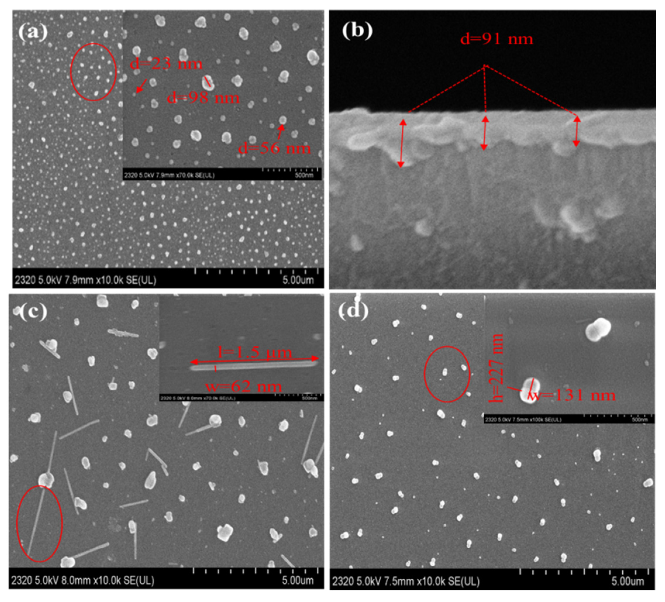 Nanomaterials 11 01634 g010