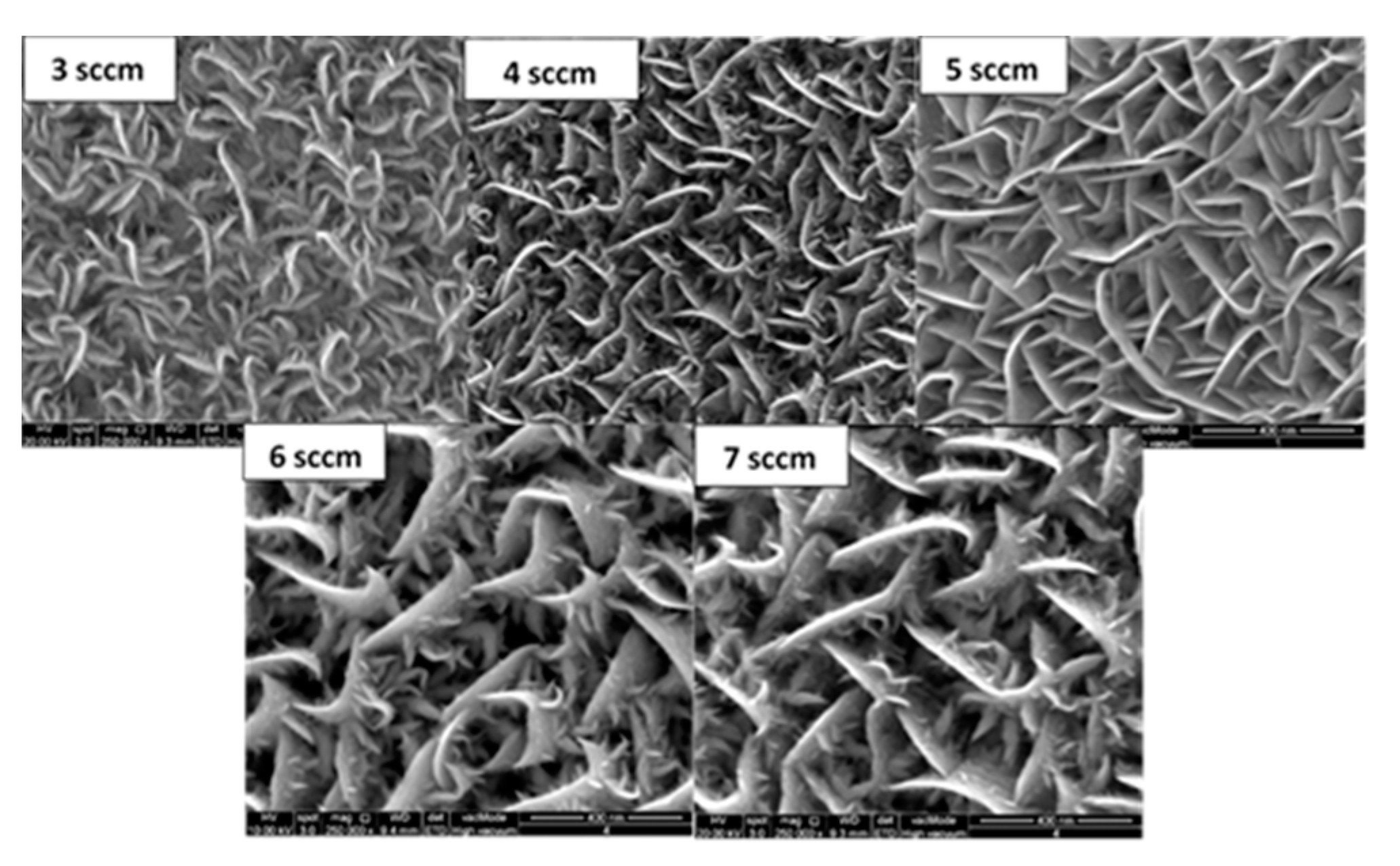 Nanomaterials 11 01635 g009
