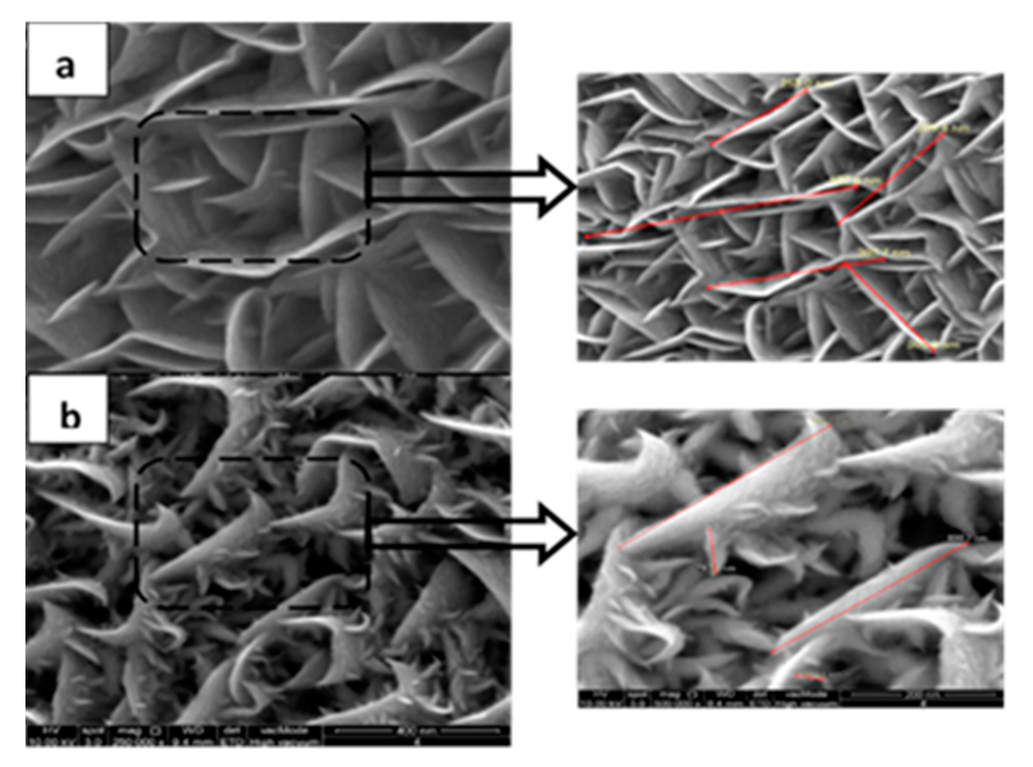 Nanomaterials 11 01635 g011