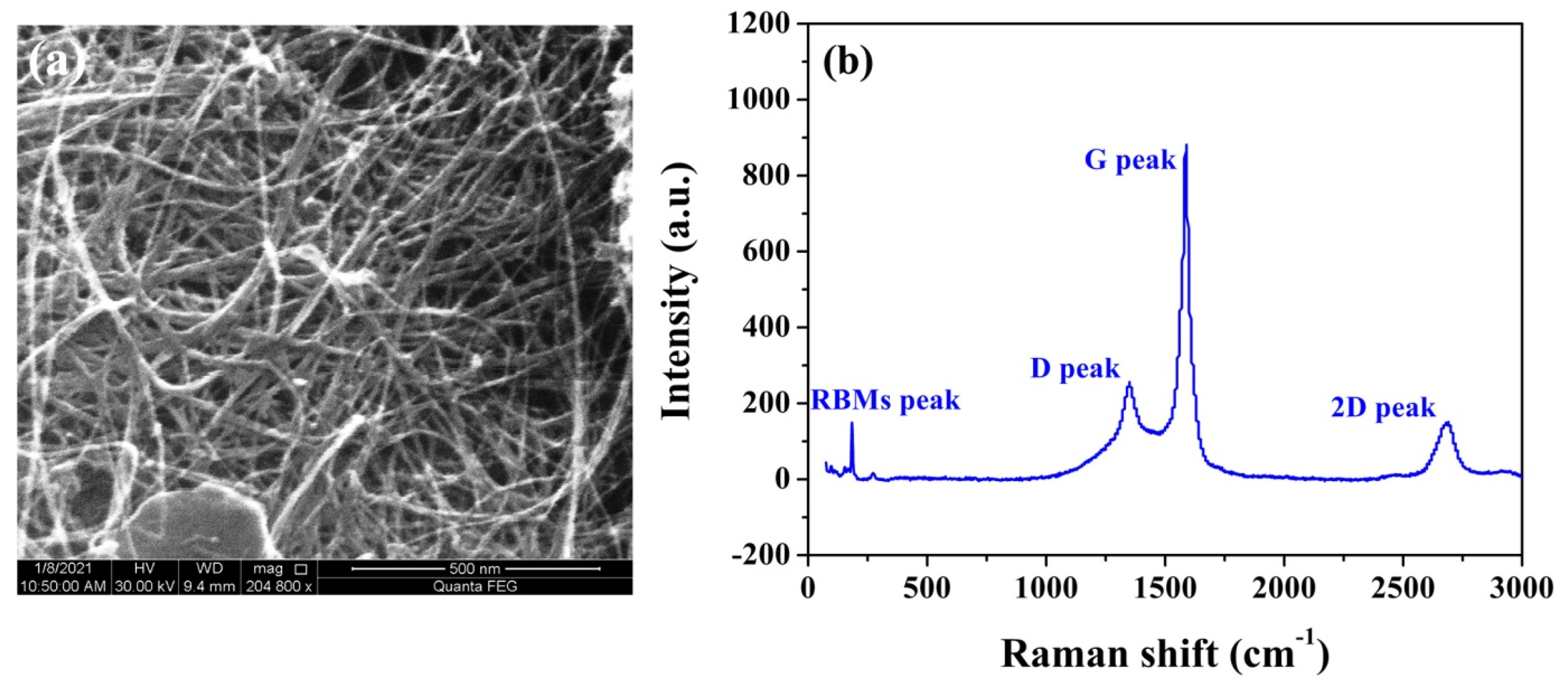 Nanomaterials 11 01636 g003