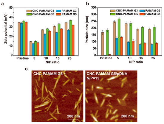 PAMAM-Functionalized Cellulose Nanocrystals with Needle-Like