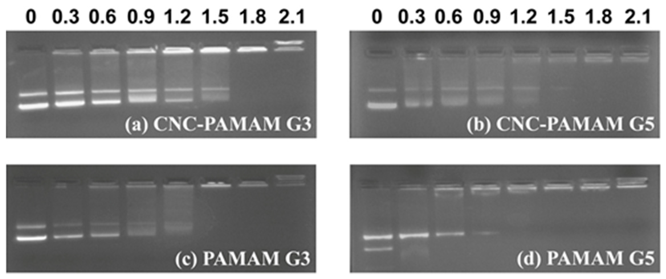 Nanomaterials 11 01640 g006