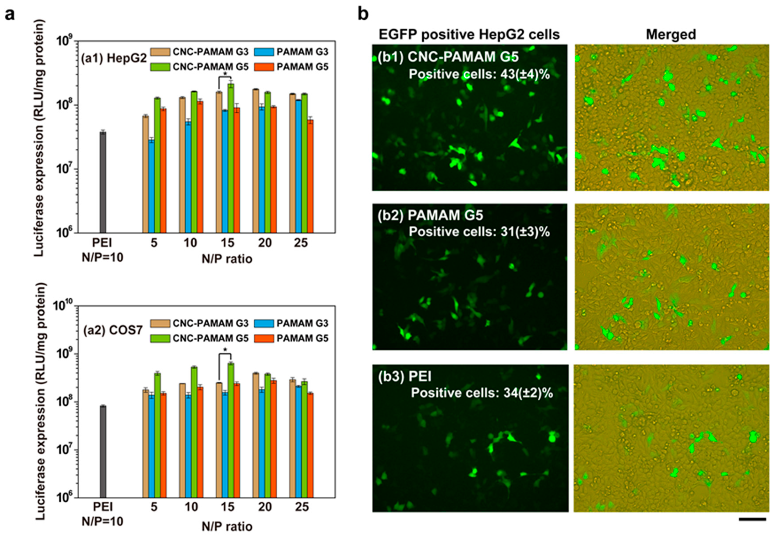 Nanomaterials 11 01640 g008
