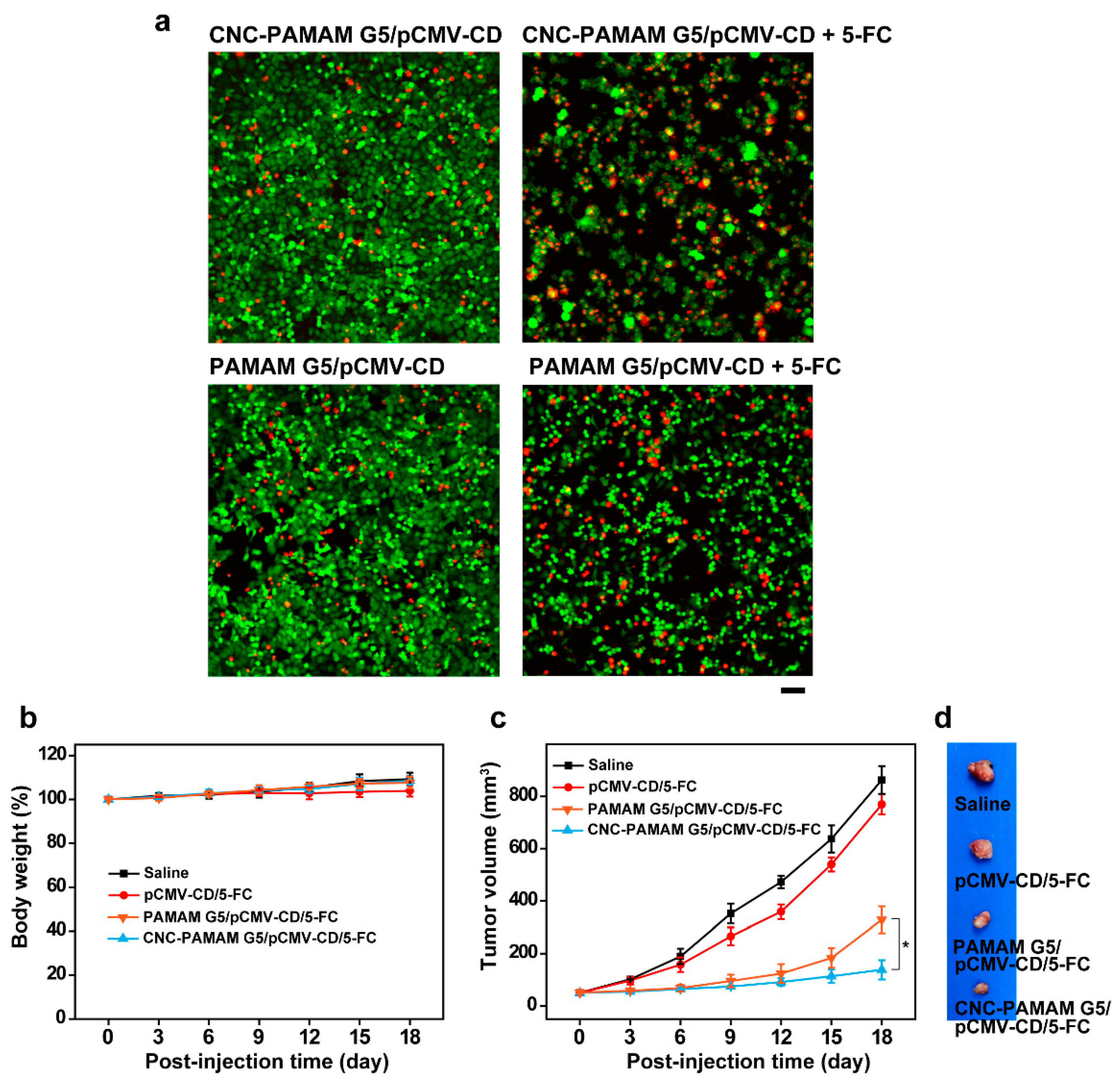 Nanomaterials 11 01640 g009