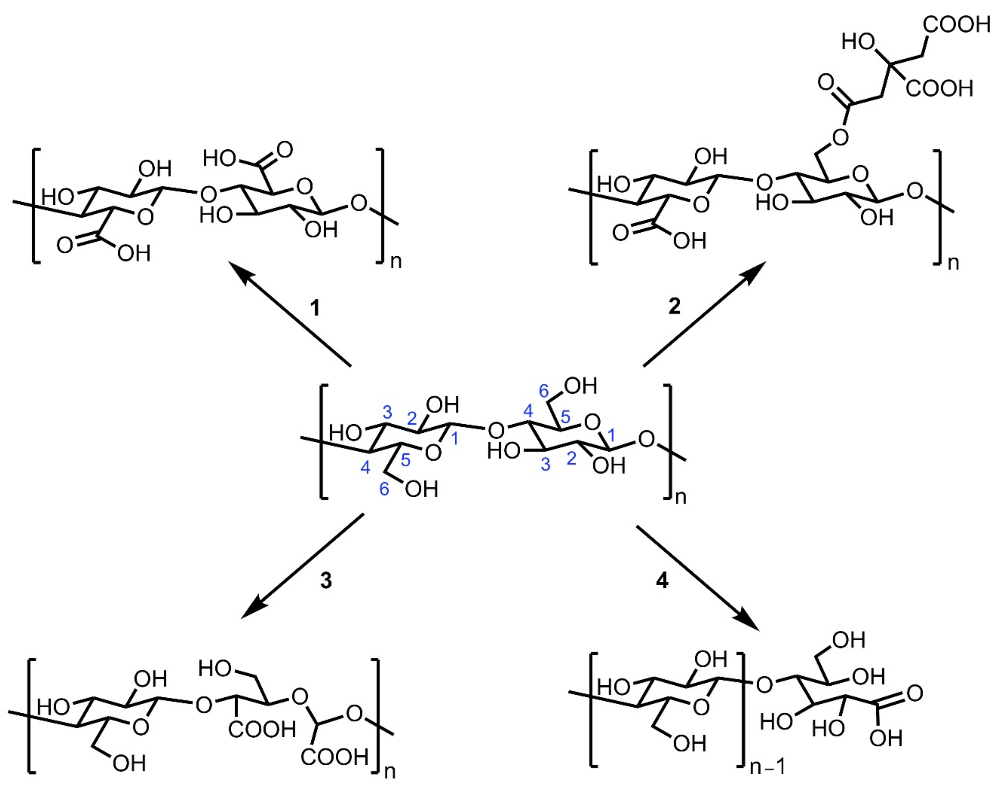 Nanomaterials 11 01641 sch001