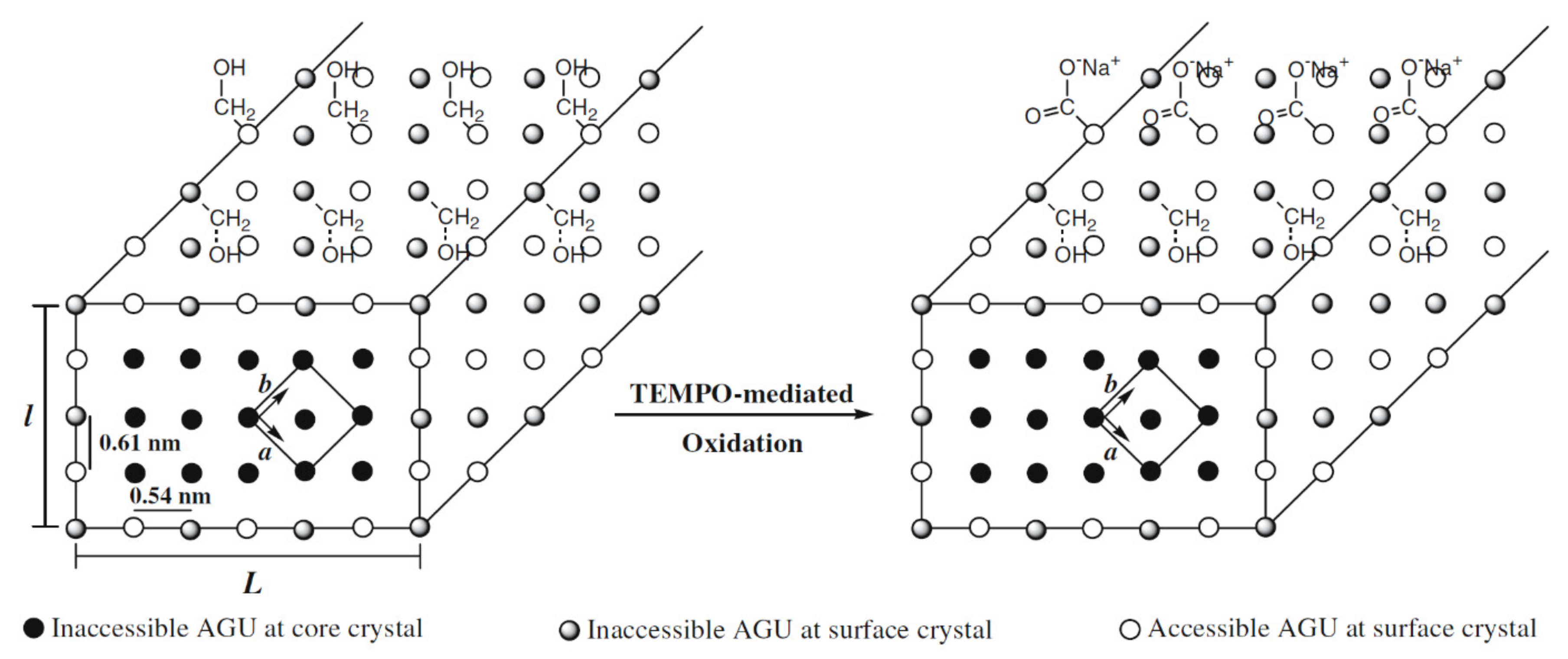 Nanomaterials 11 01641 sch004