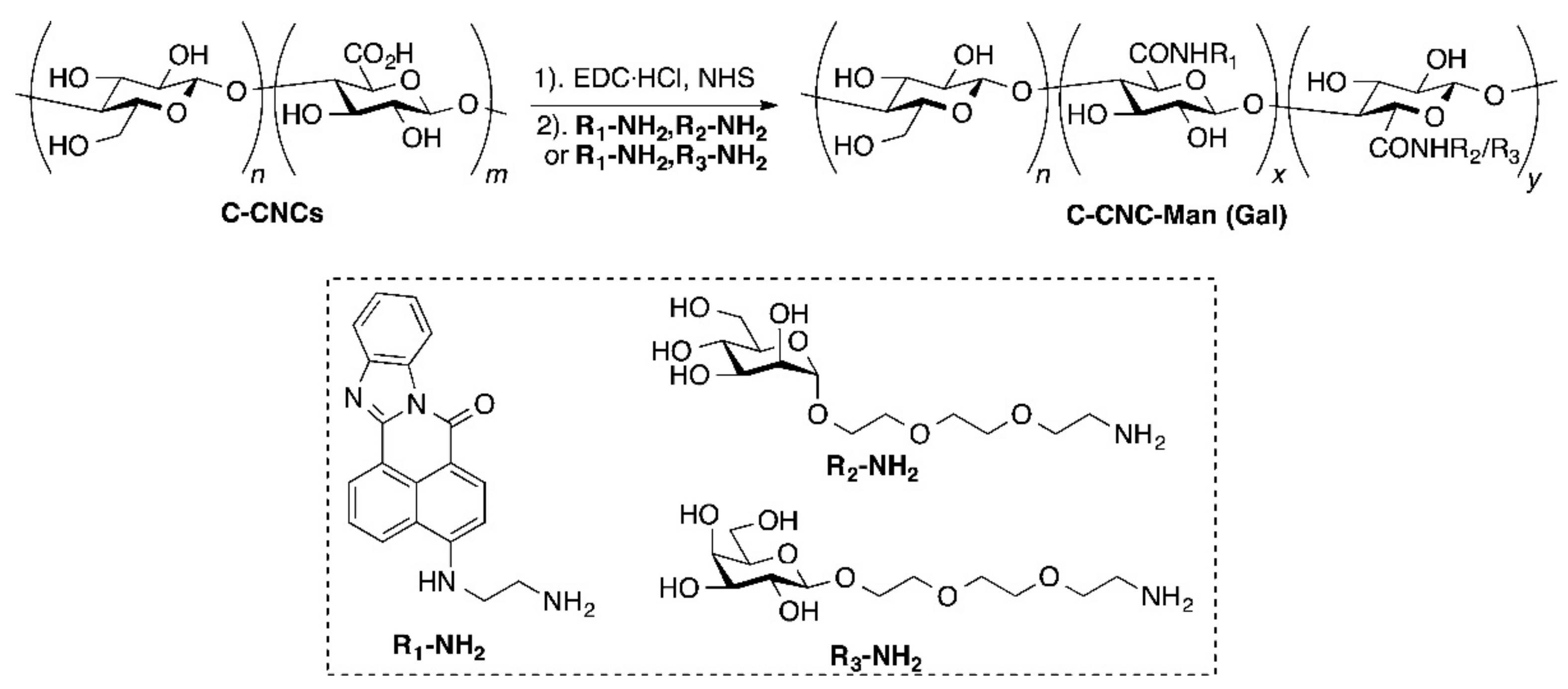 Nanomaterials 11 01641 sch011