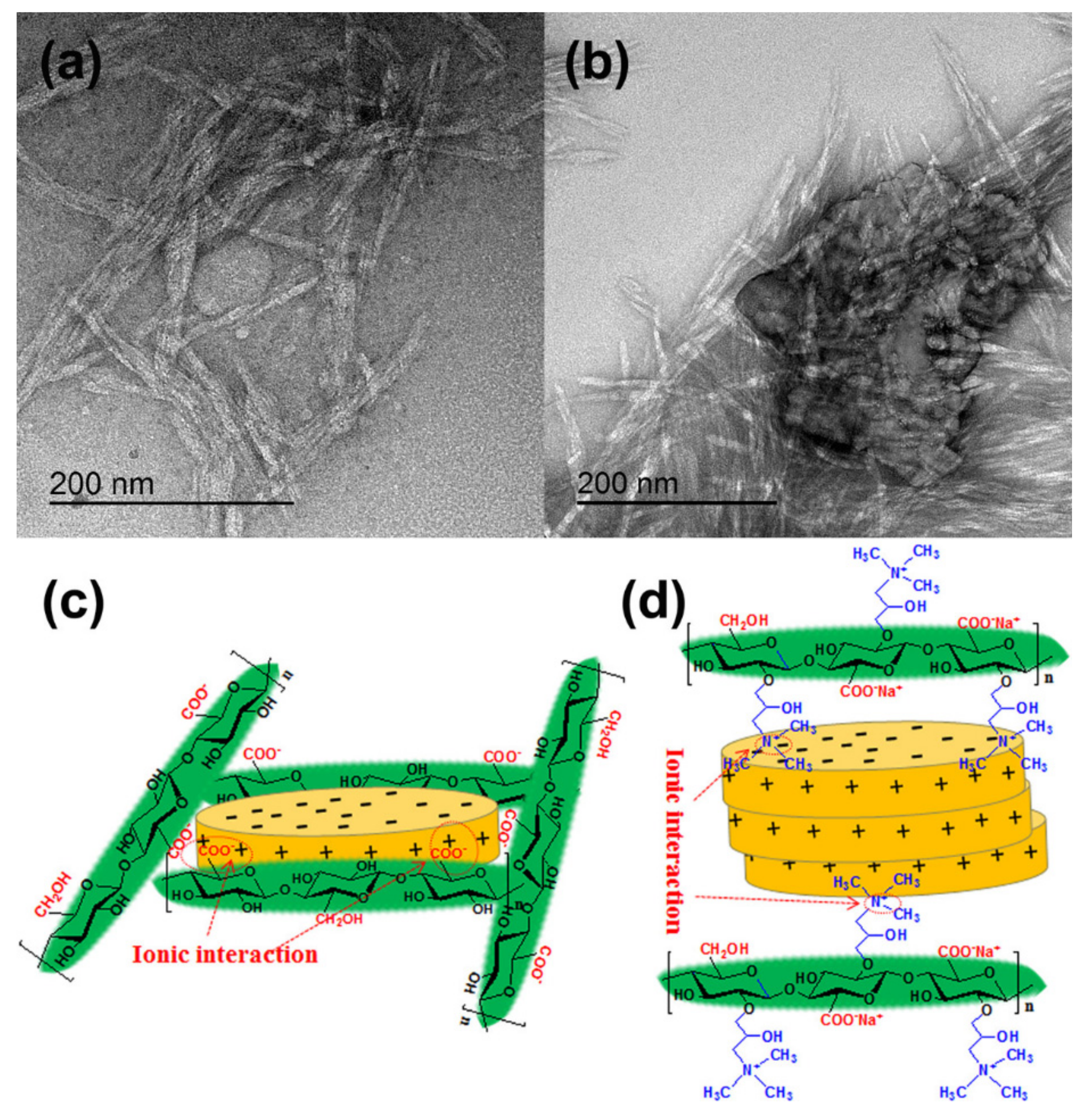 Nanomaterials 11 01641 sch014