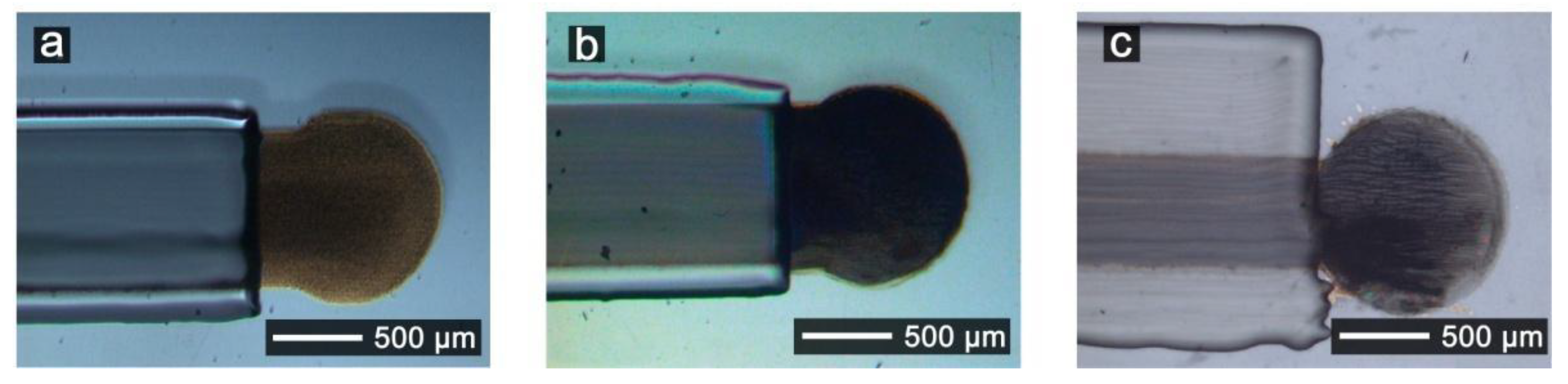 Nanomaterials 11 01645 g002 550