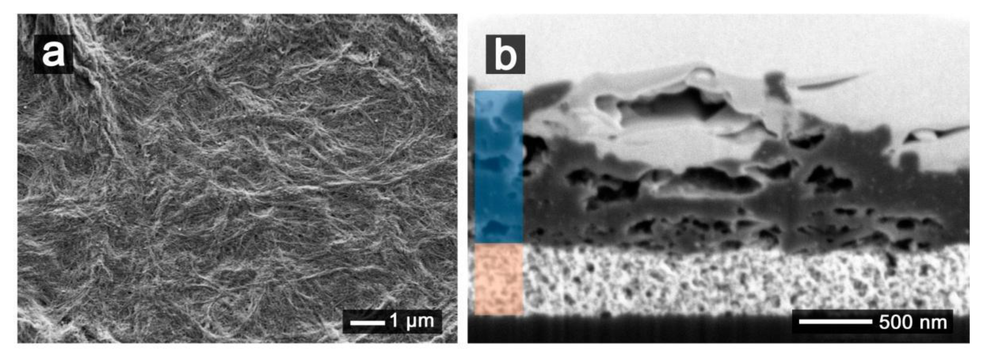 Nanomaterials 11 01645 g005 550