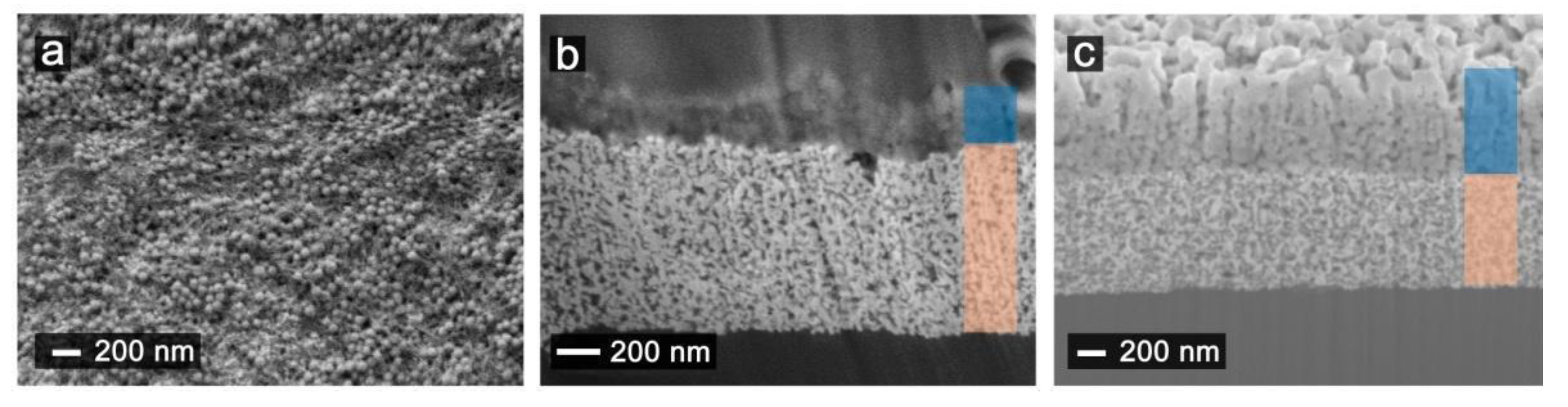 Nanomaterials 11 01645 g007 550