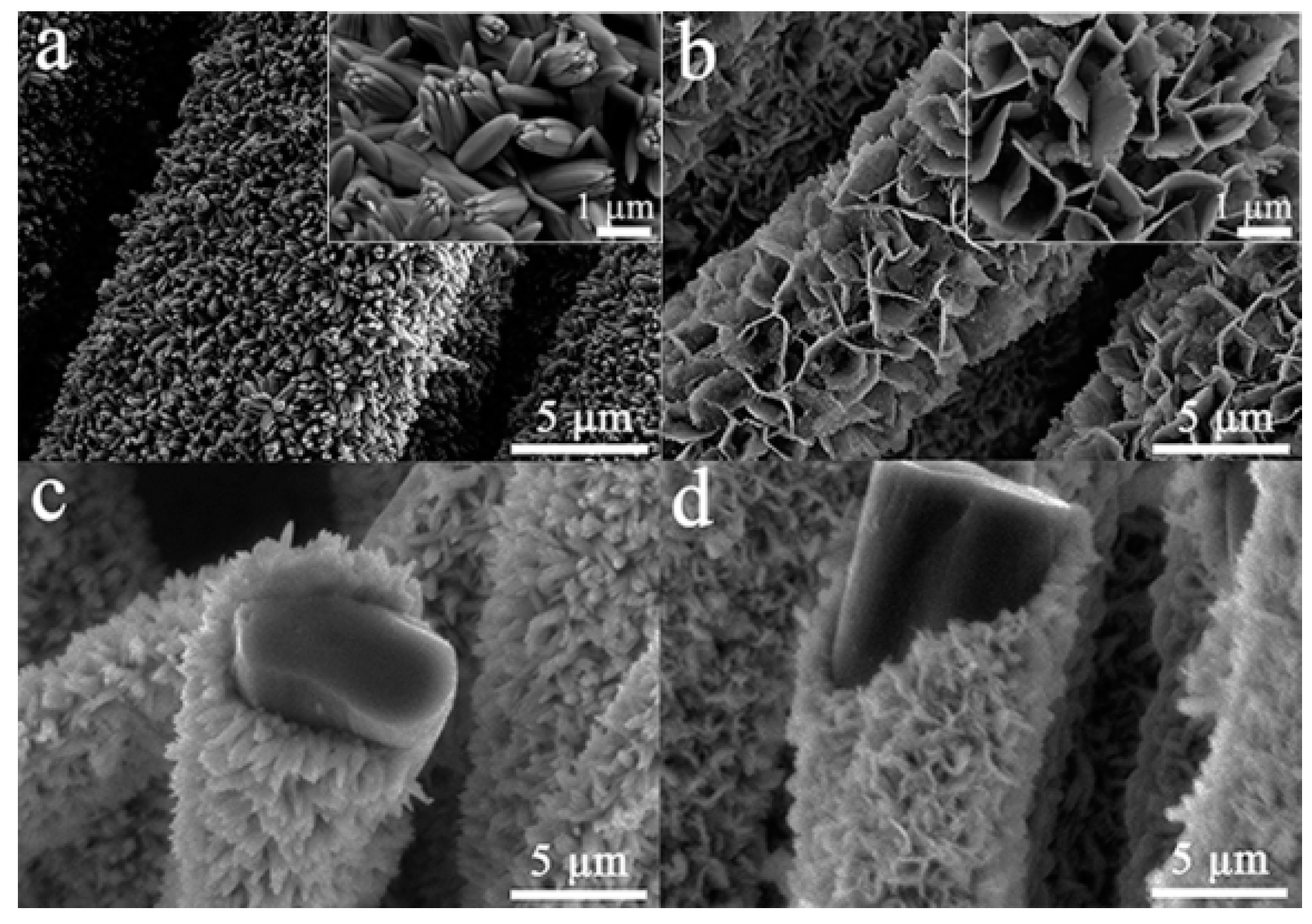 Nanomaterials 11 01649 g001 Nanomaterials 11 01649 g001