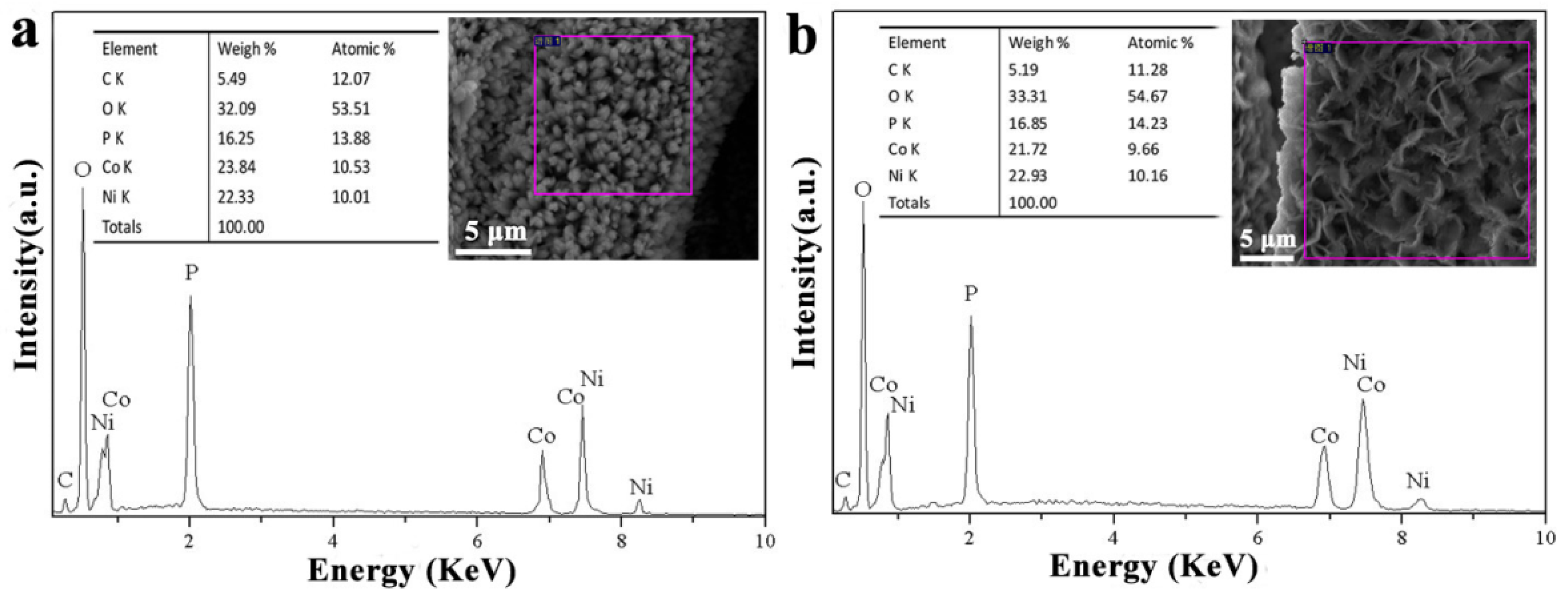 Nanomaterials 11 01649 g003 Nanomaterials 11 01649 g003