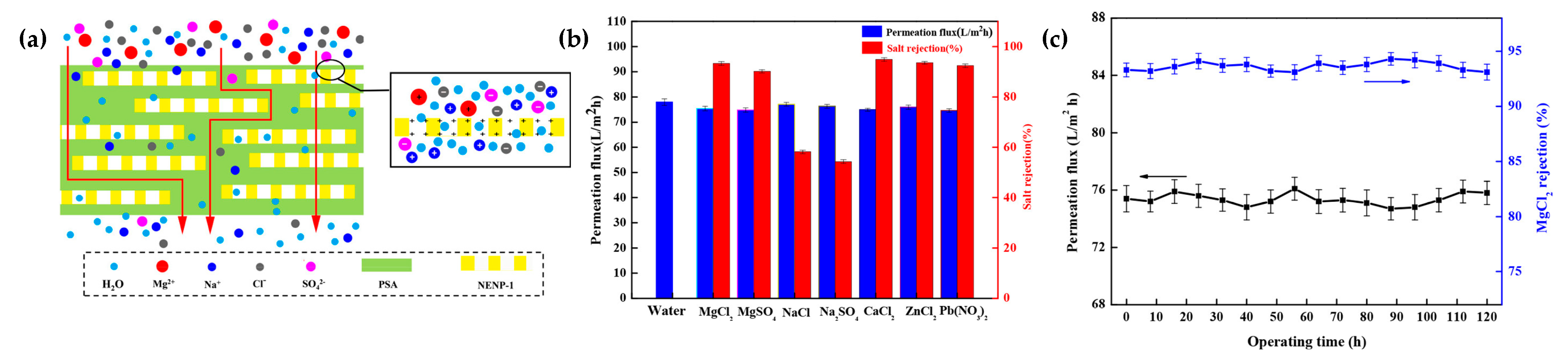 Nanomaterials 11 01651 g014