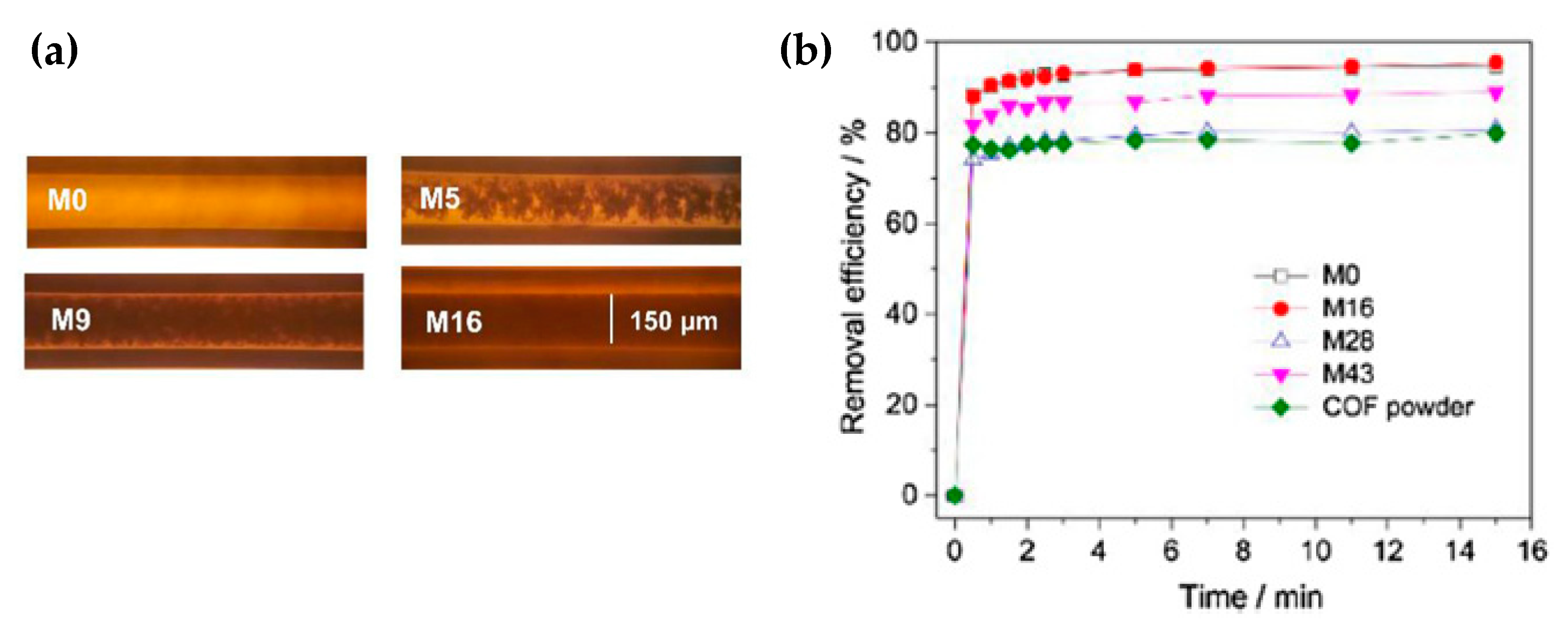 Nanomaterials 11 01651 g021