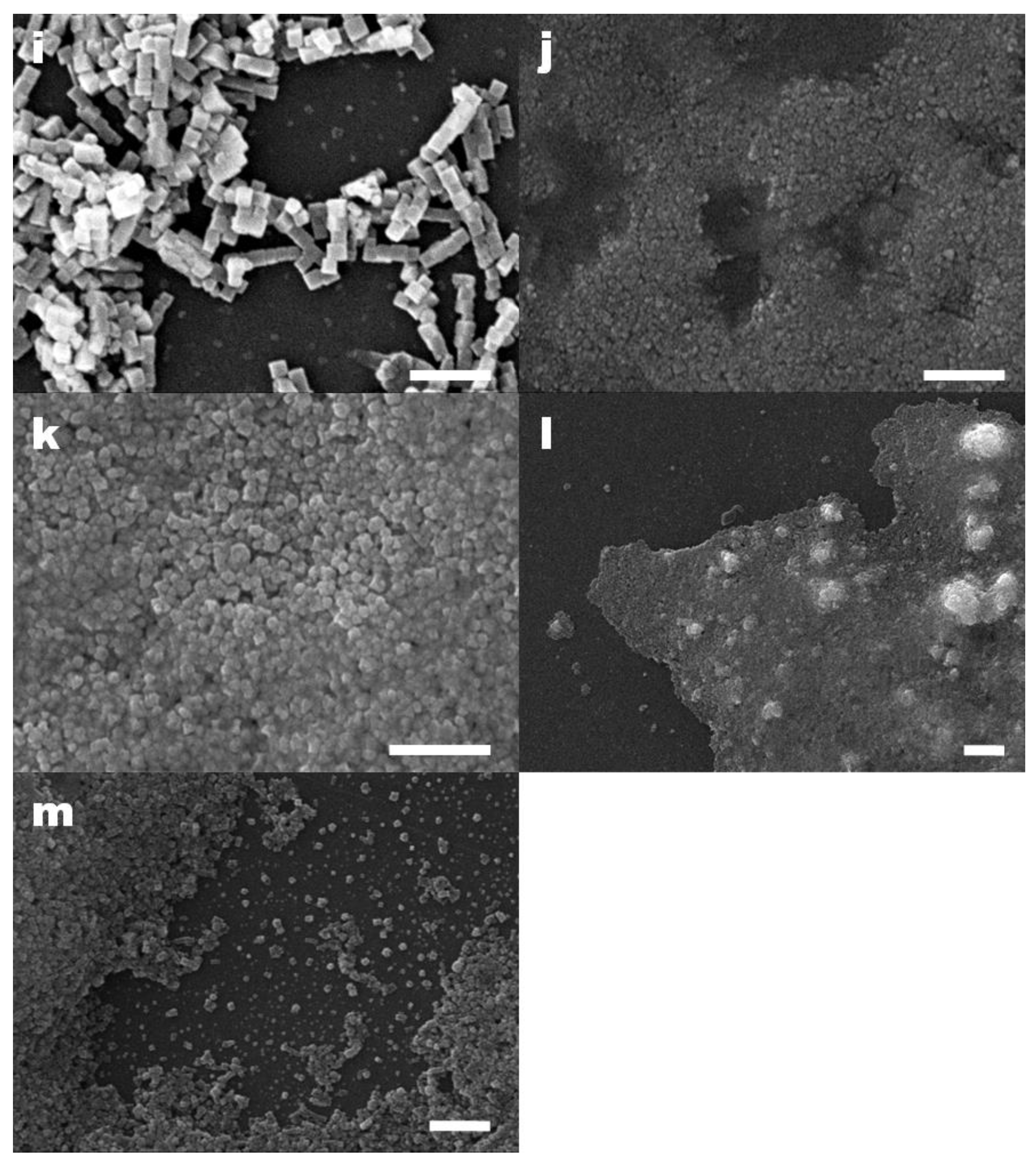 Nanomaterials 11 01652 g003b