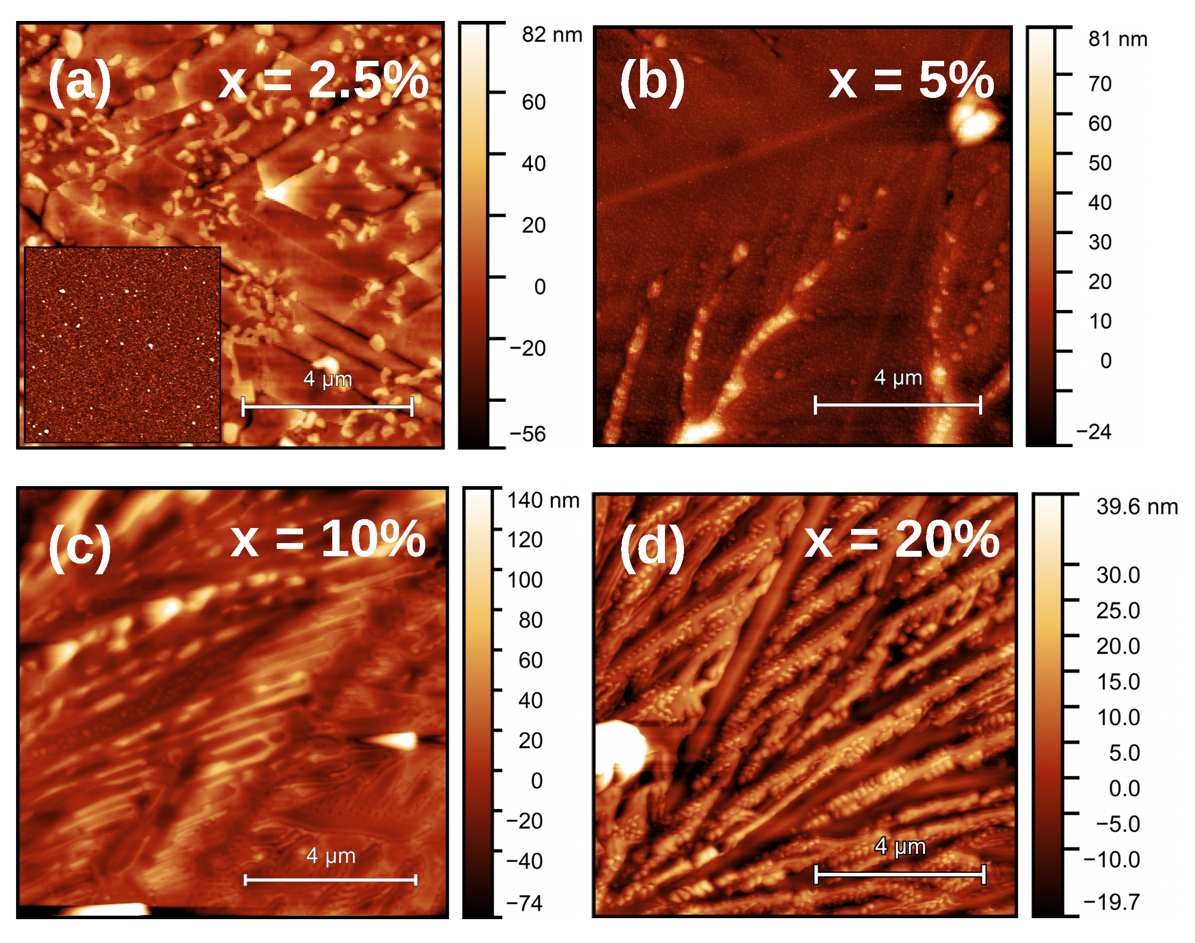 Nanomaterials 11 01654 g001