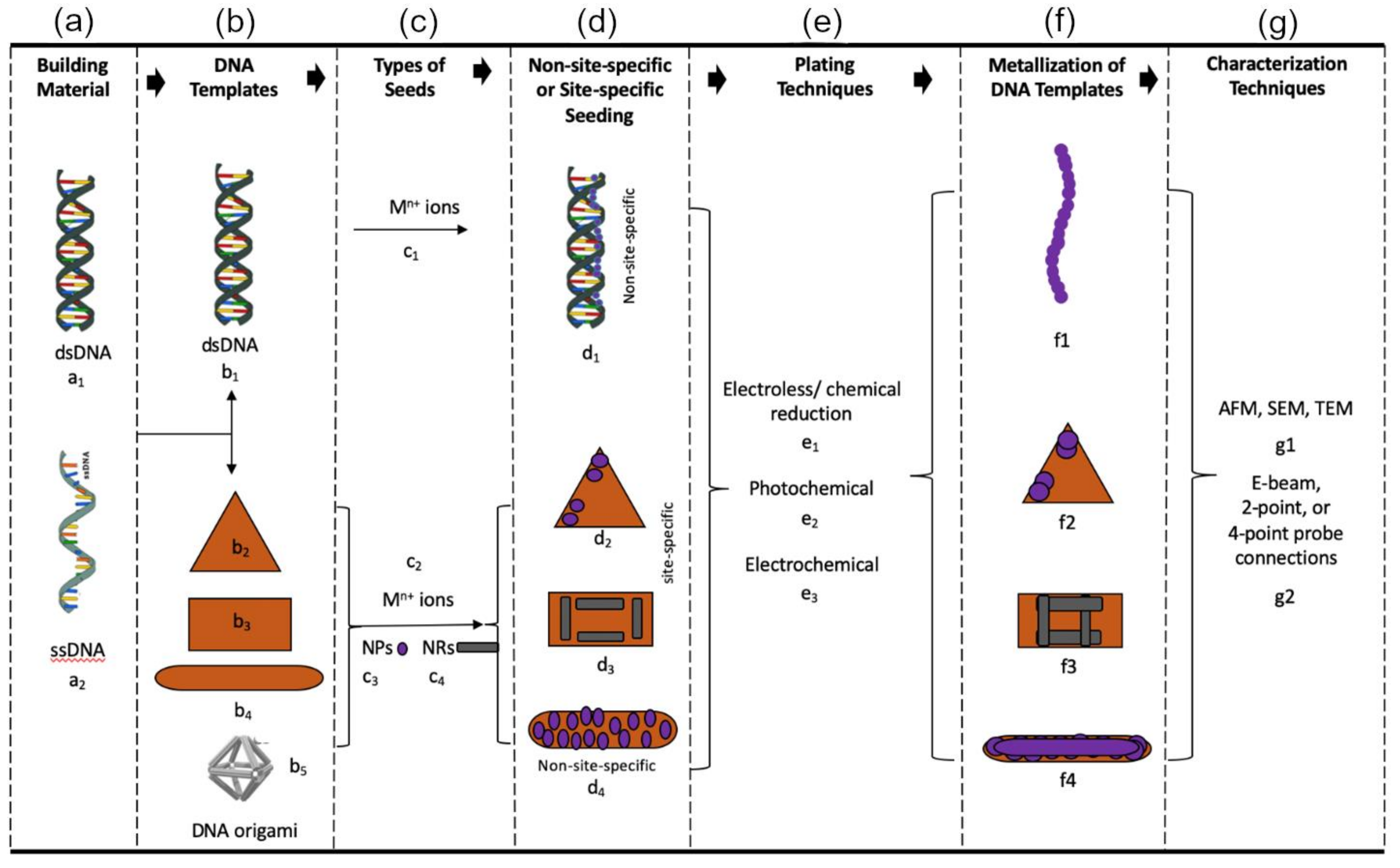 Nanomaterials 11 01655 g001