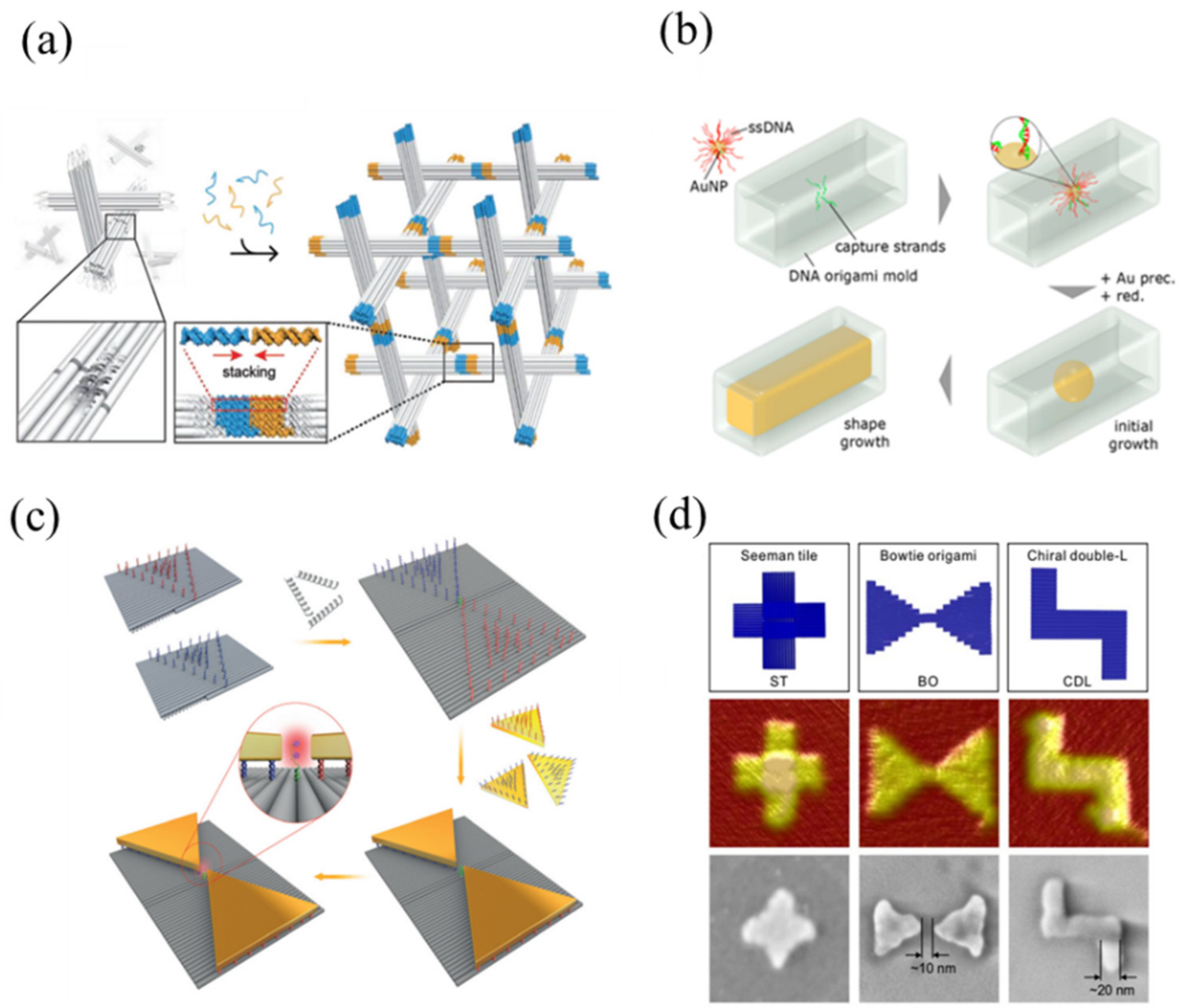 Nanomaterials 11 01655 g003