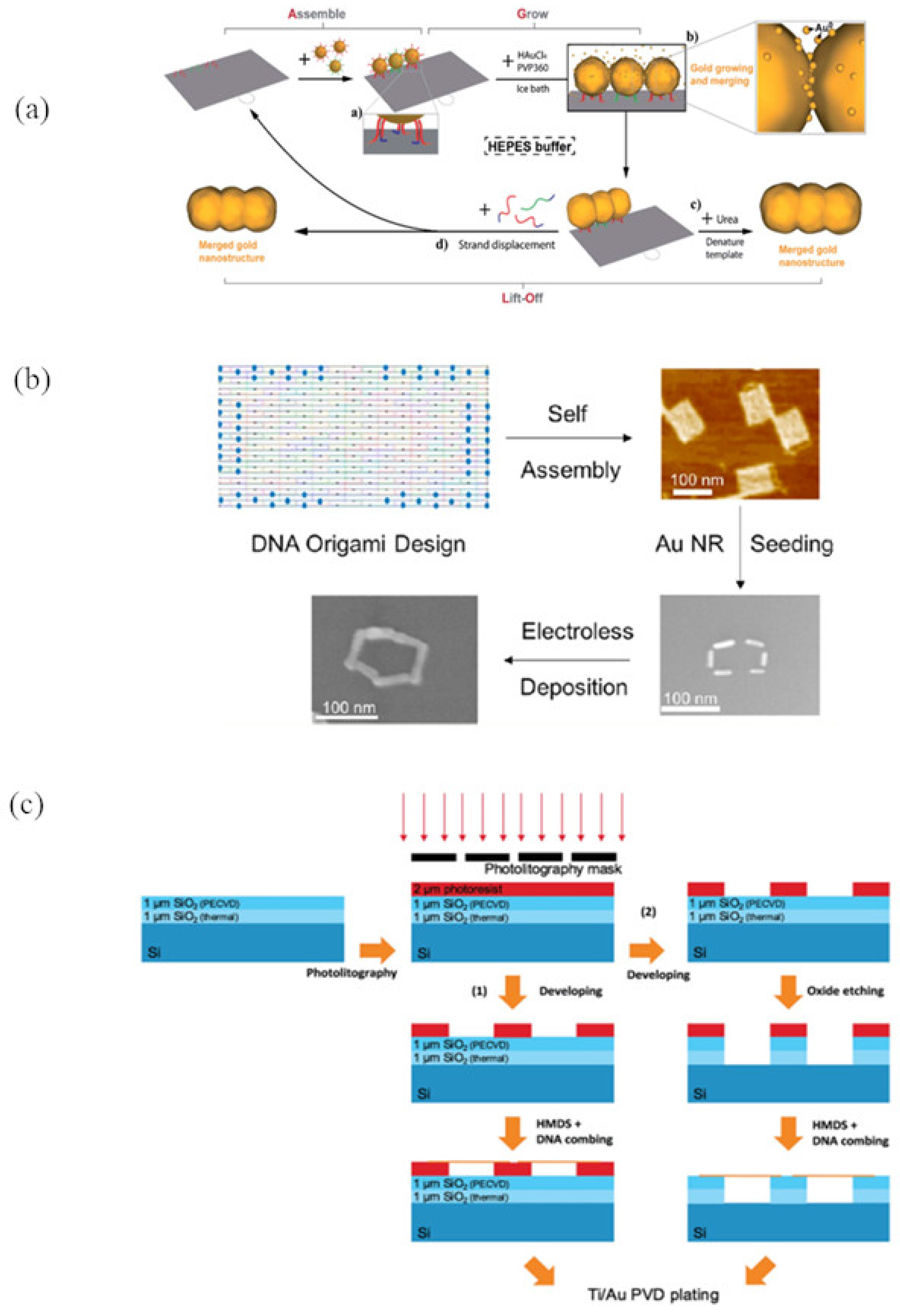 Nanomaterials 11 01655 g004
