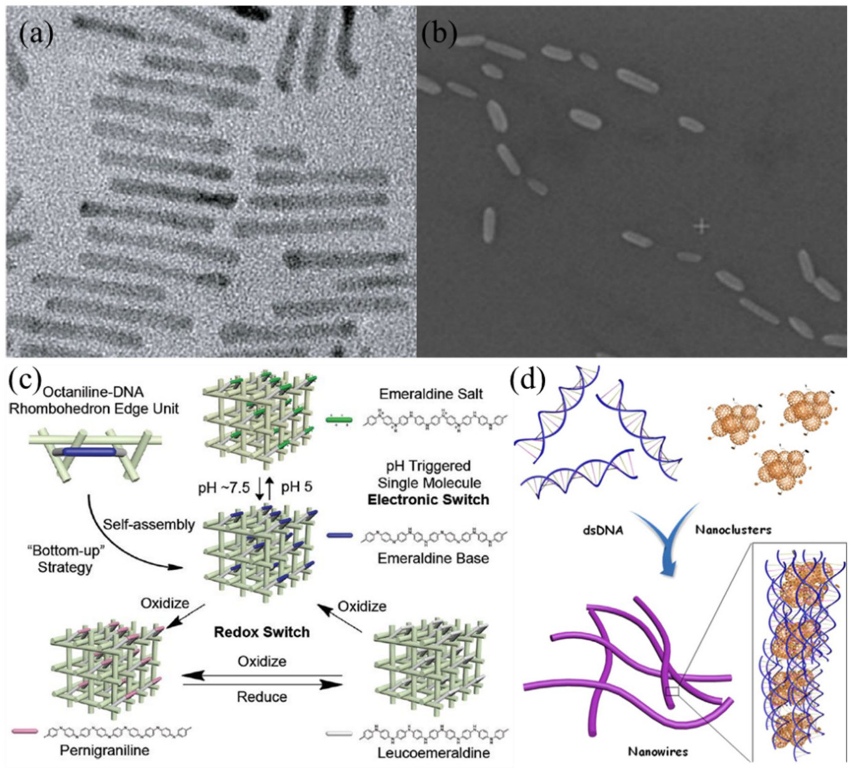 Nanomaterials 11 01655 g005