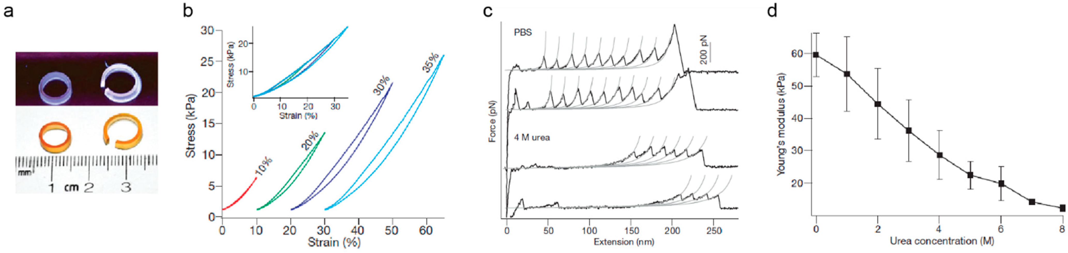 Nanomaterials 11 01656 g003