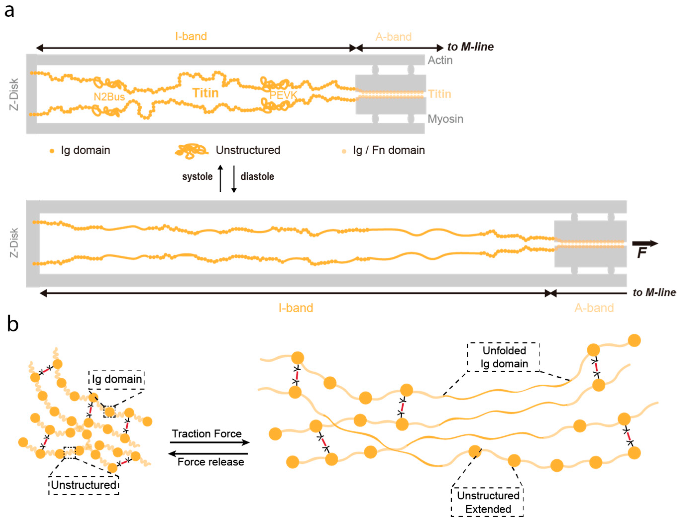 Nanomaterials 11 01656 g004